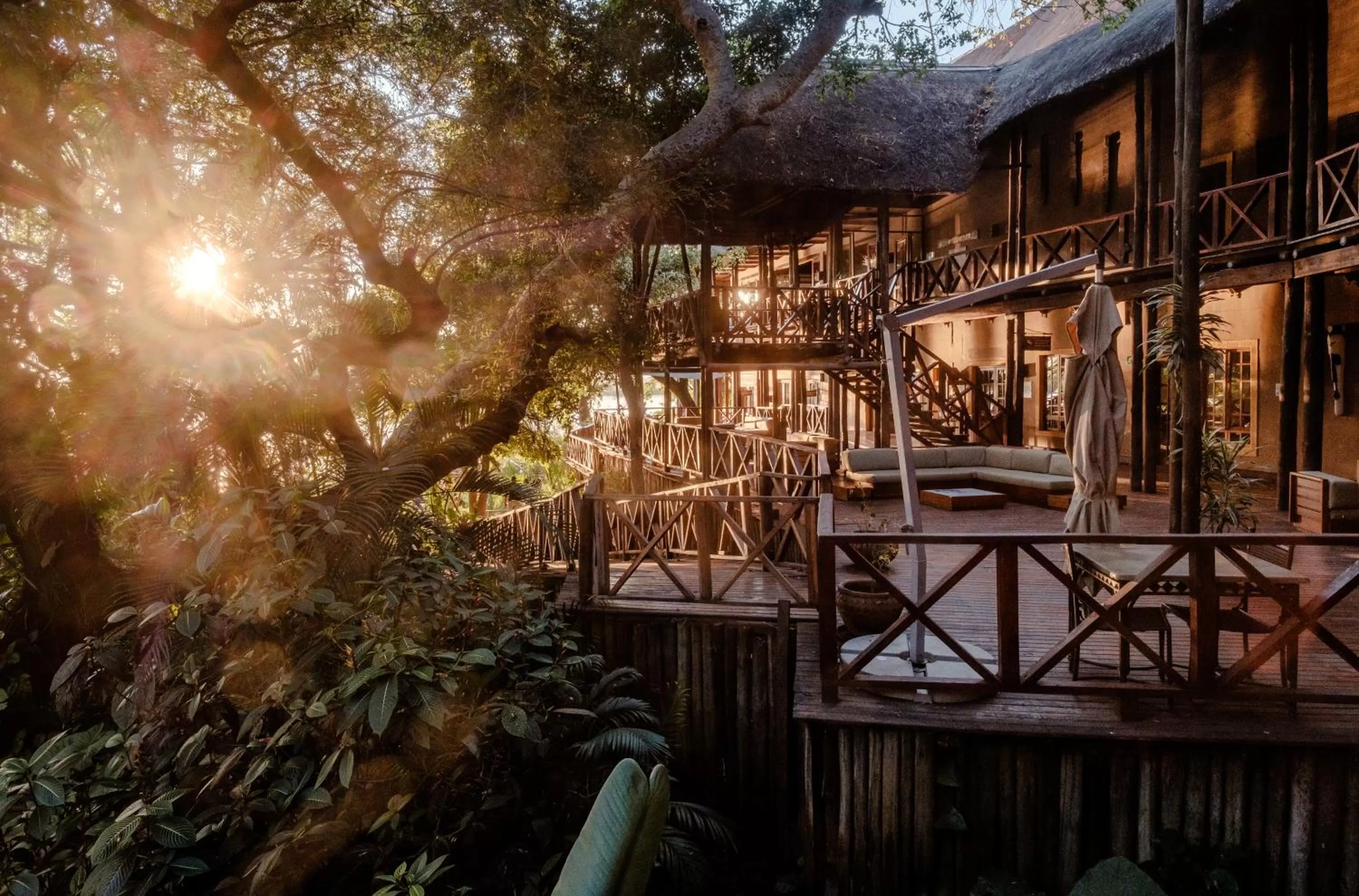 Property Building in Chobe Marina Lodge