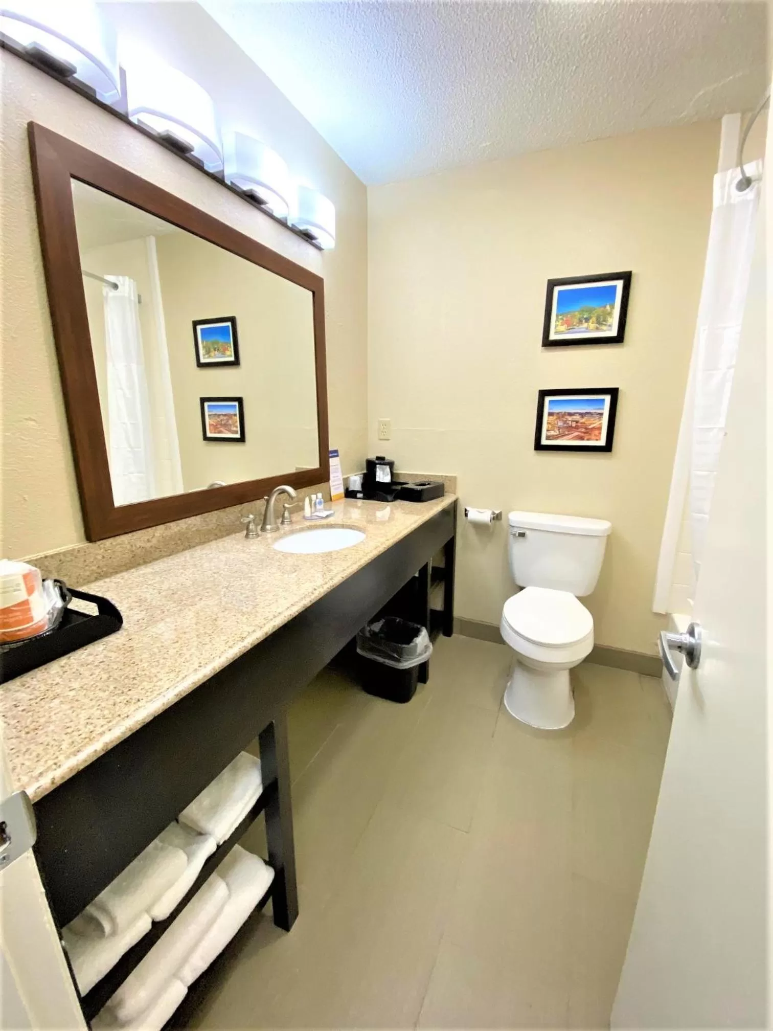 Bathroom in Comfort Inn Charleston South