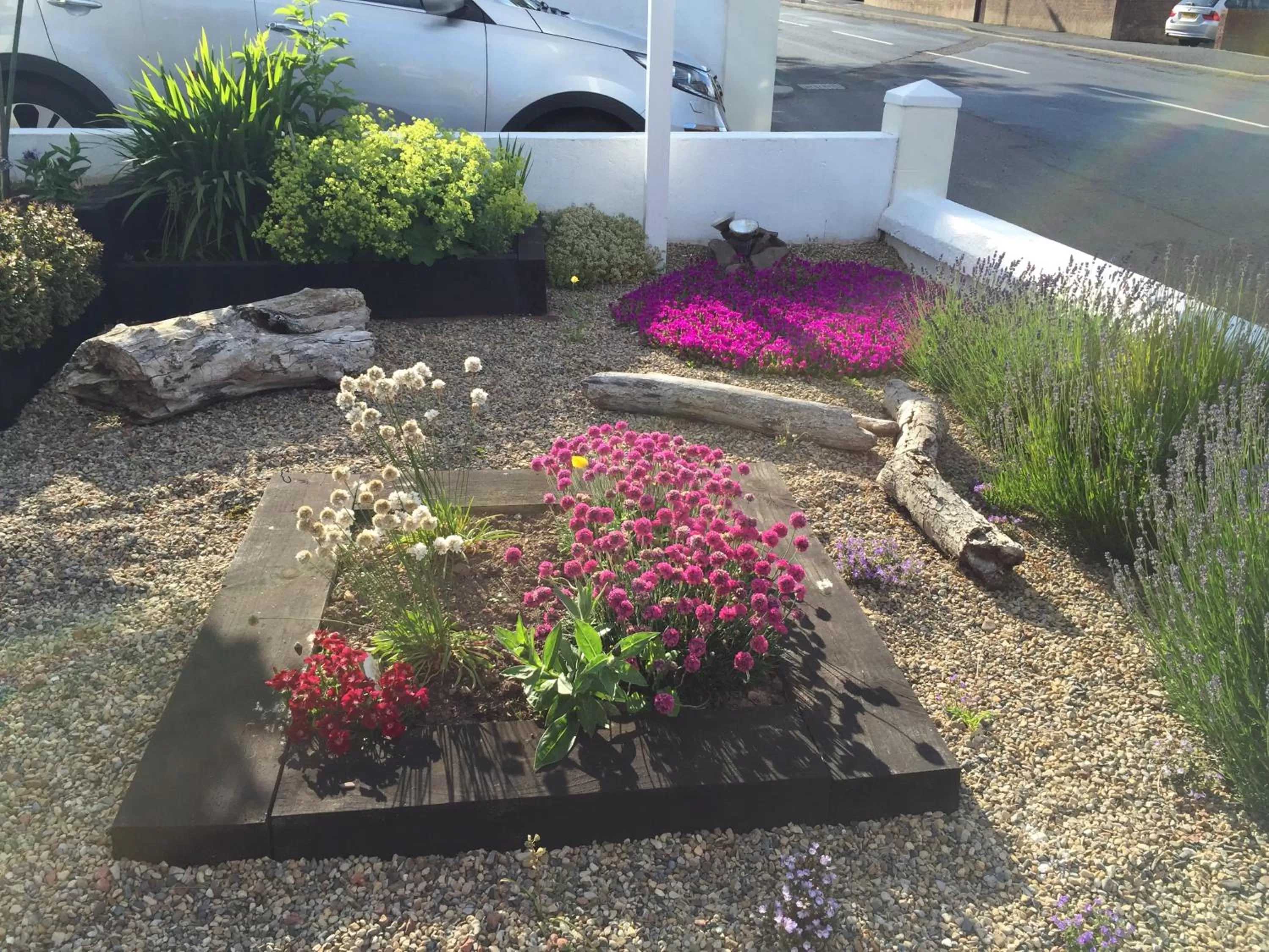 Summer in Hillcrest Bed & Breakfast