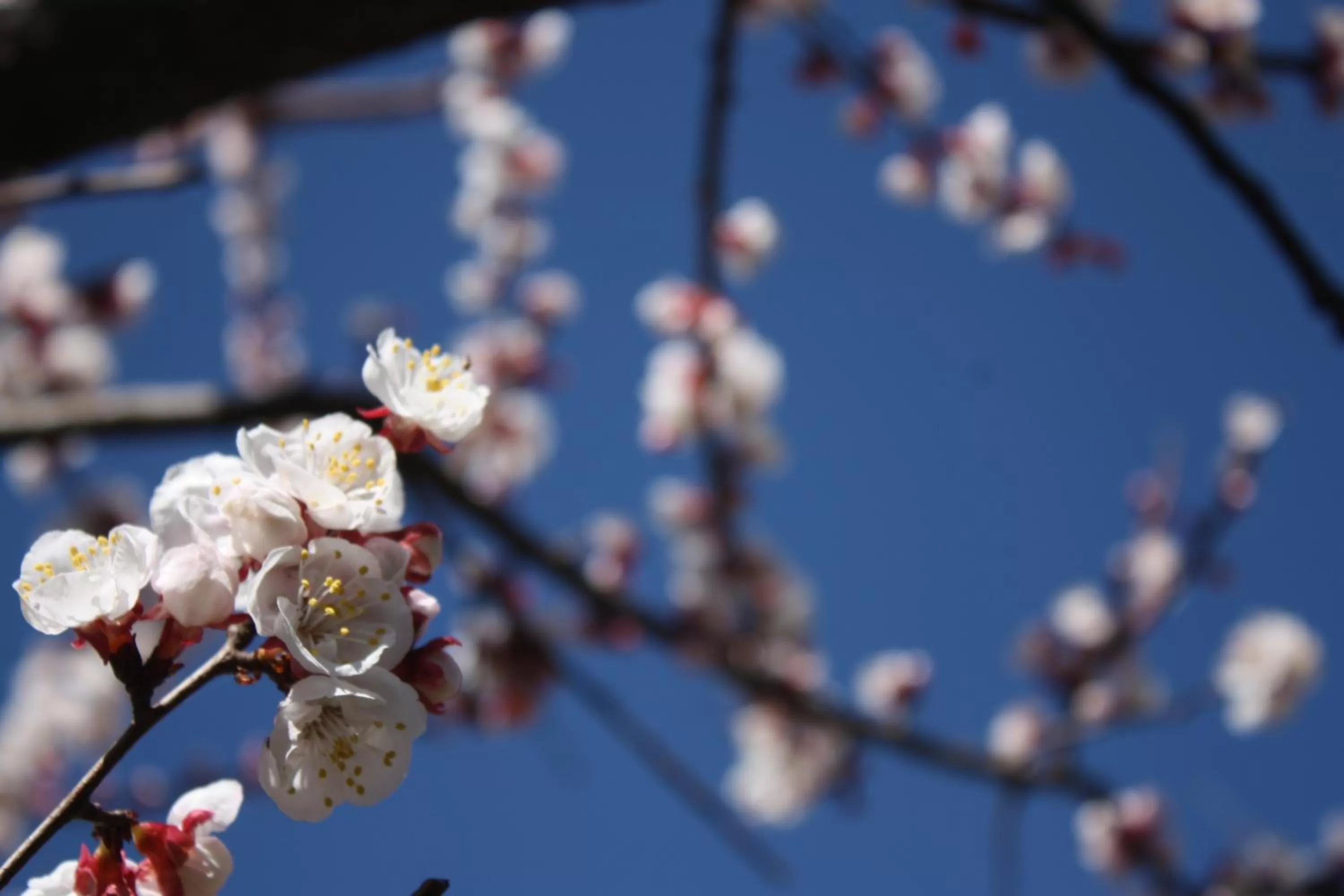 Garden in B&B Casa Di Mari
