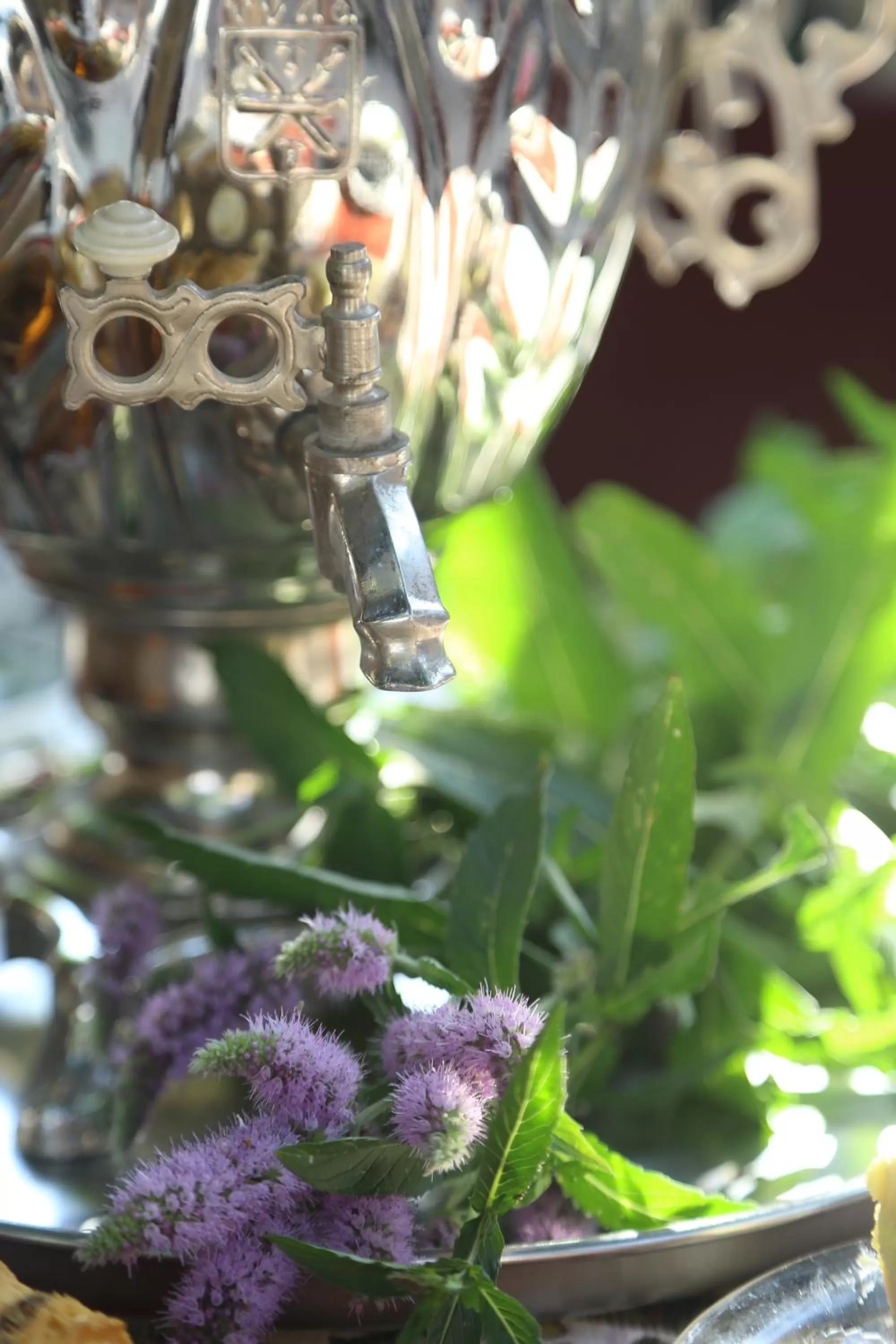 Garden in Guest House David's B&B