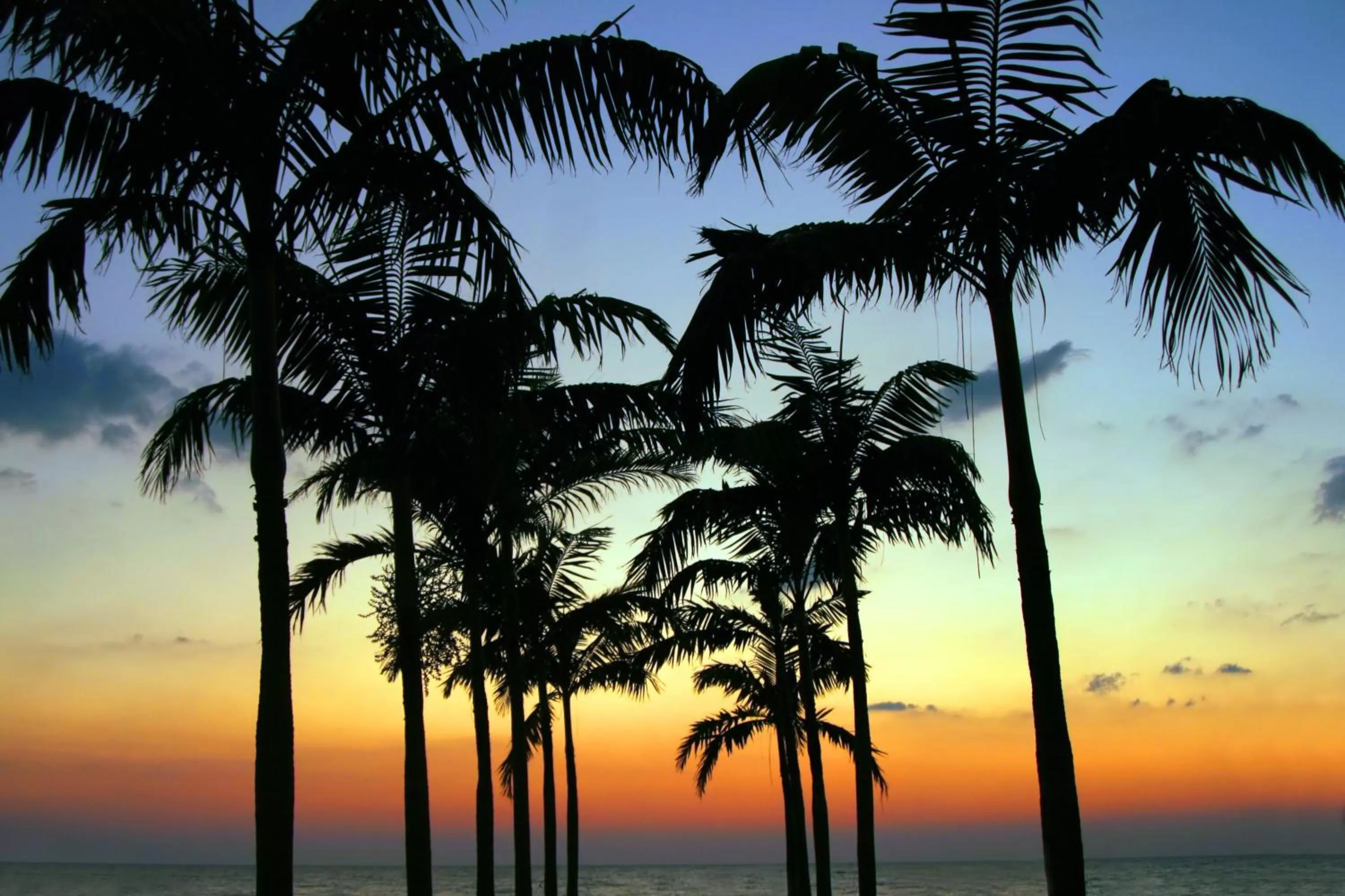 Sunset in Plaza Beach Hotel - Beachfront Resort