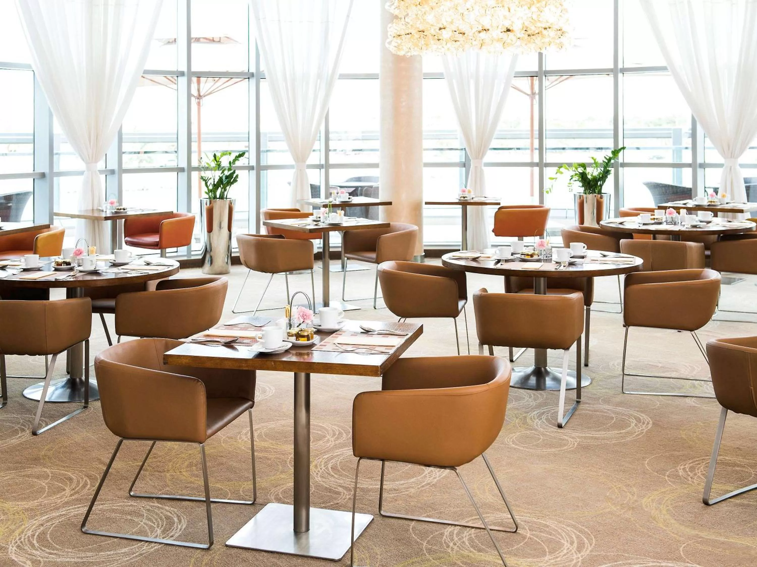 Restaurant/places to eat in Novotel Abu Dhabi Gate