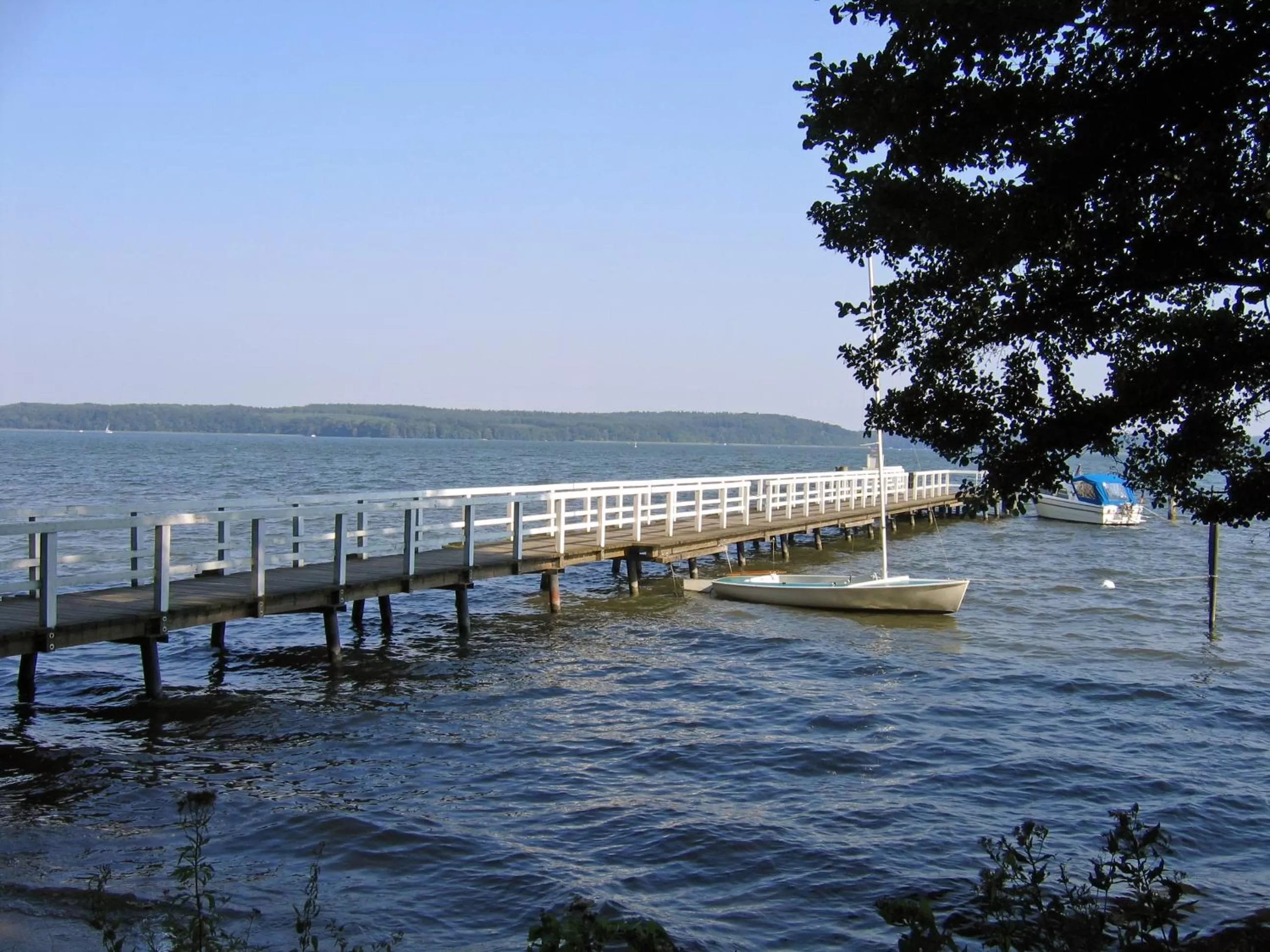 Area and facilities in Falk Seehotel Plau am See