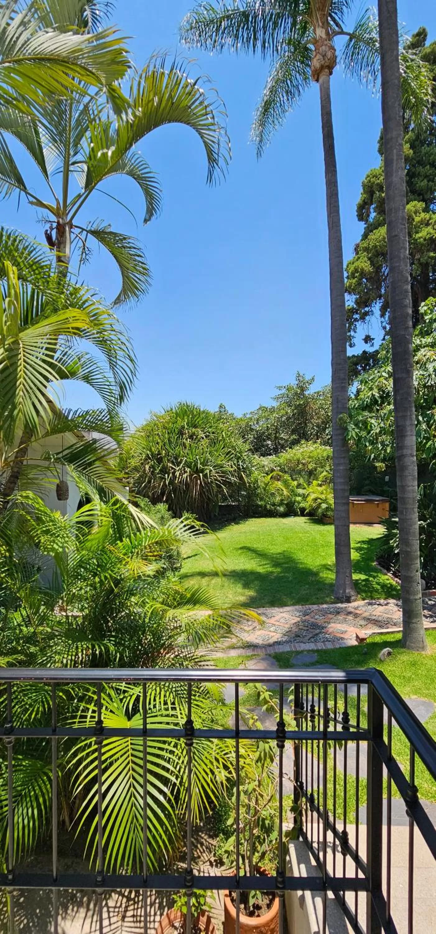 Garden view in Plaza Chapala Hotel
