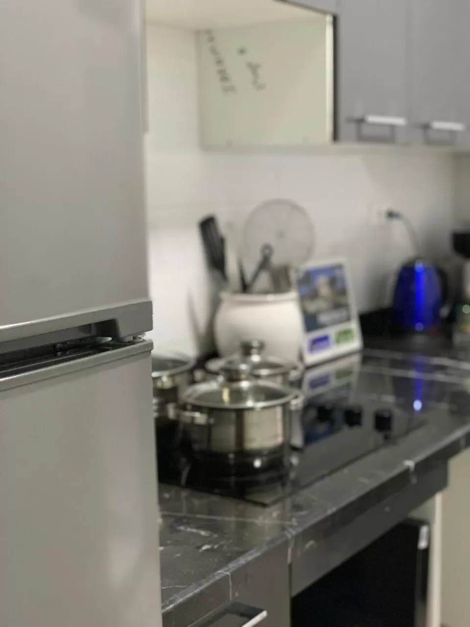 Kitchen/Kitchenette in Appart Hotel Monaco