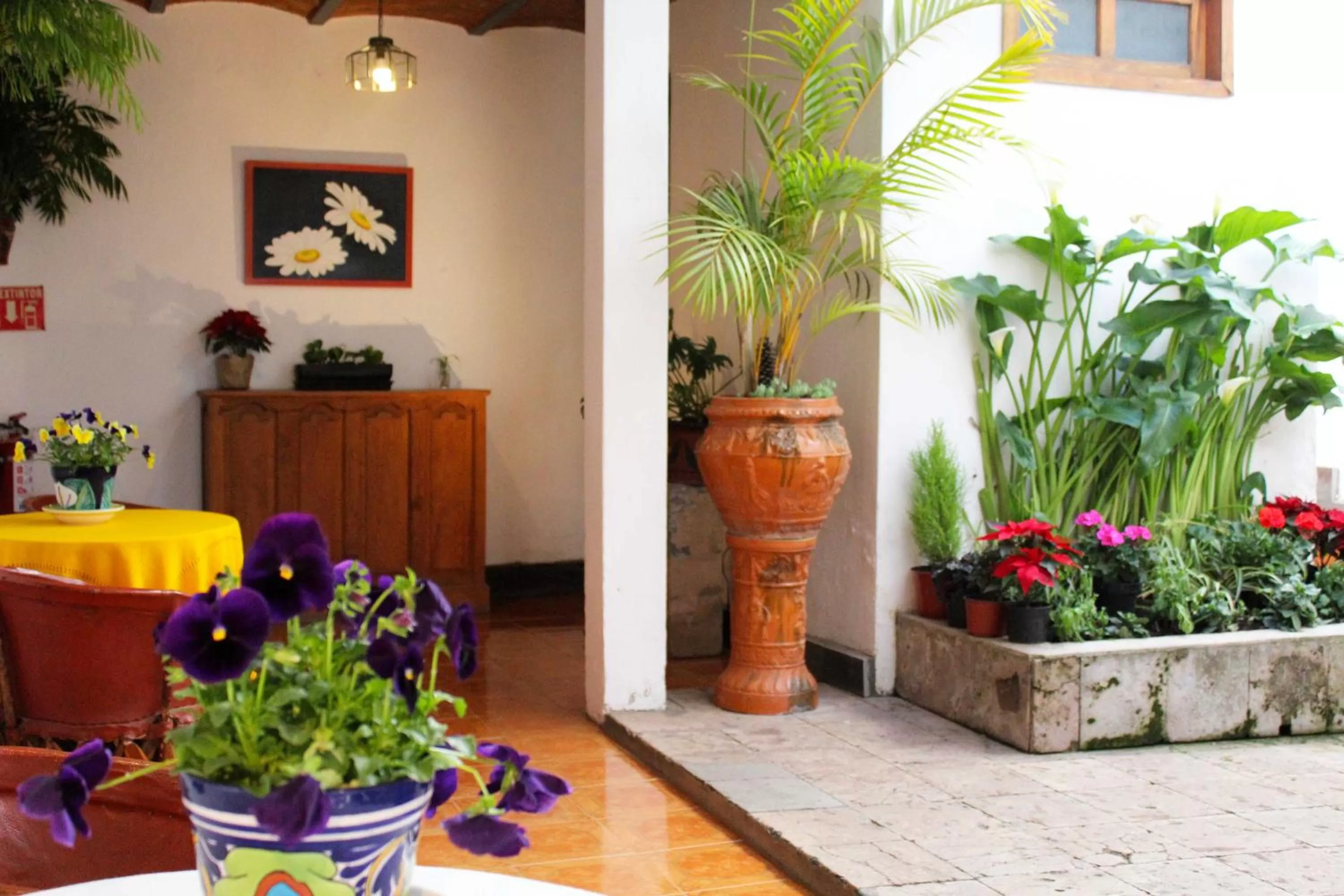 Property building in Las Margaritas Hotel Posada