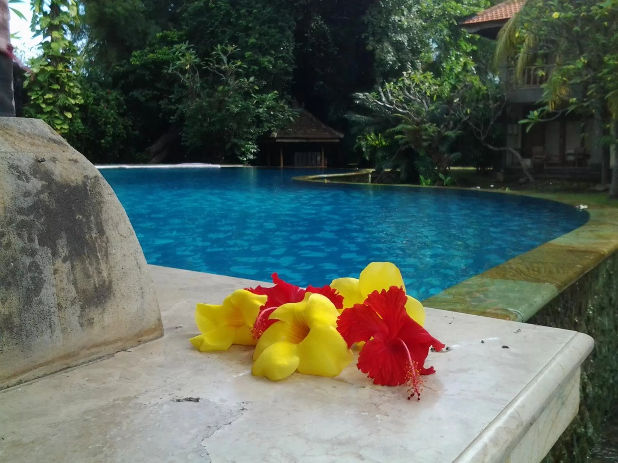 Swimming Pool in Nirwana Sea Side Cottages