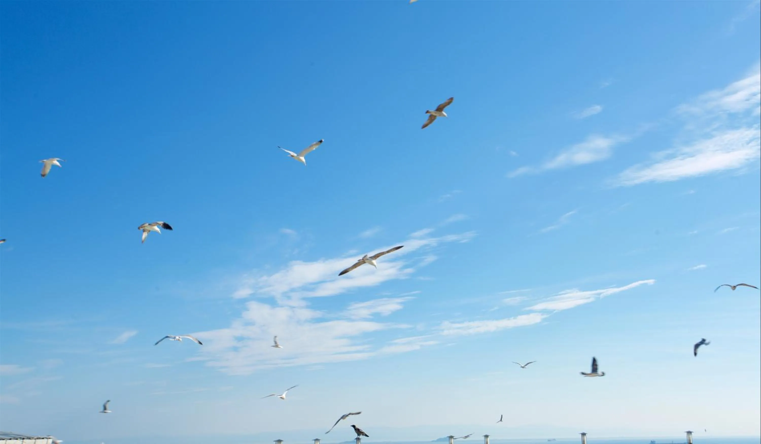 Day in Emporium Hotel