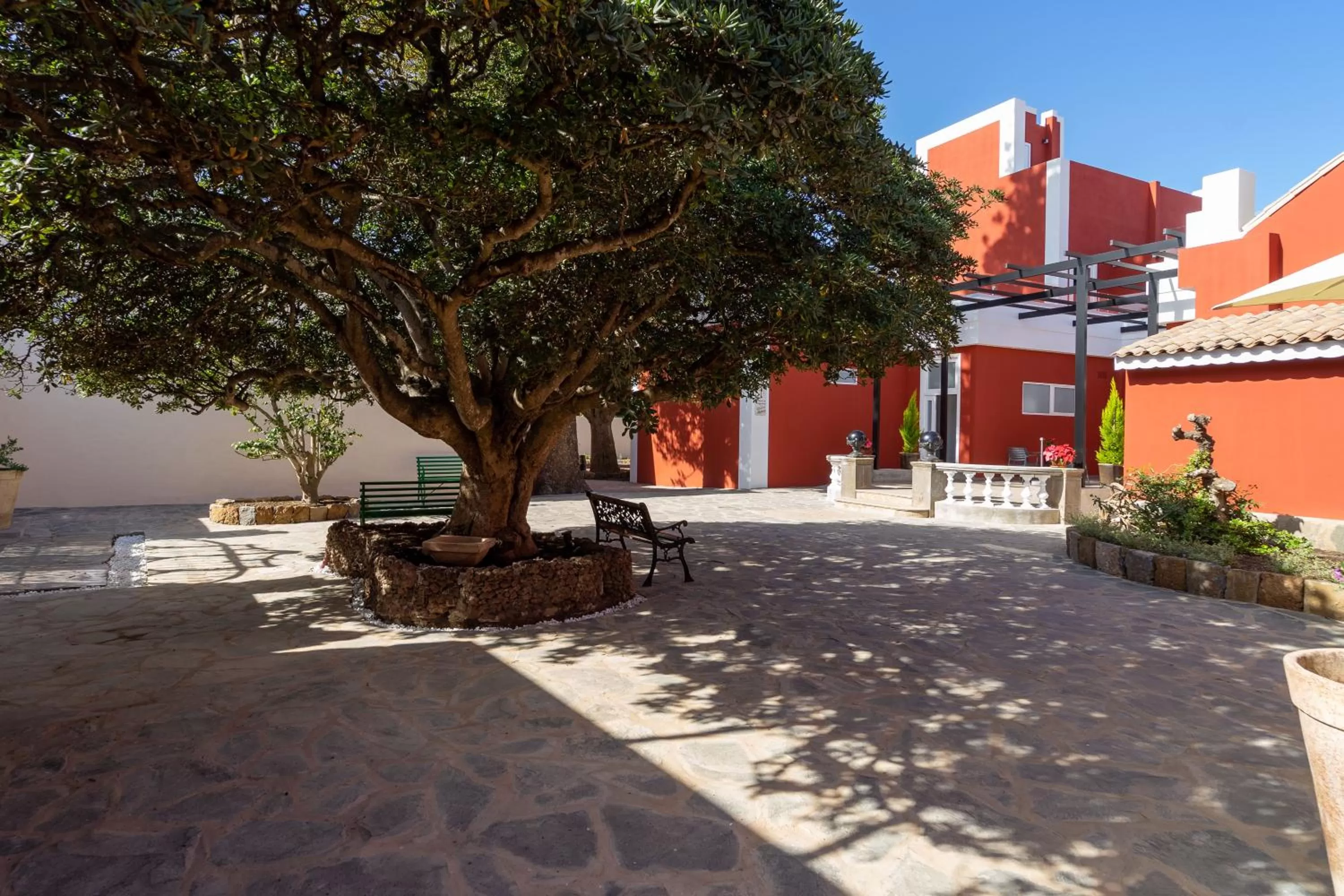 Patio in Albor Suites