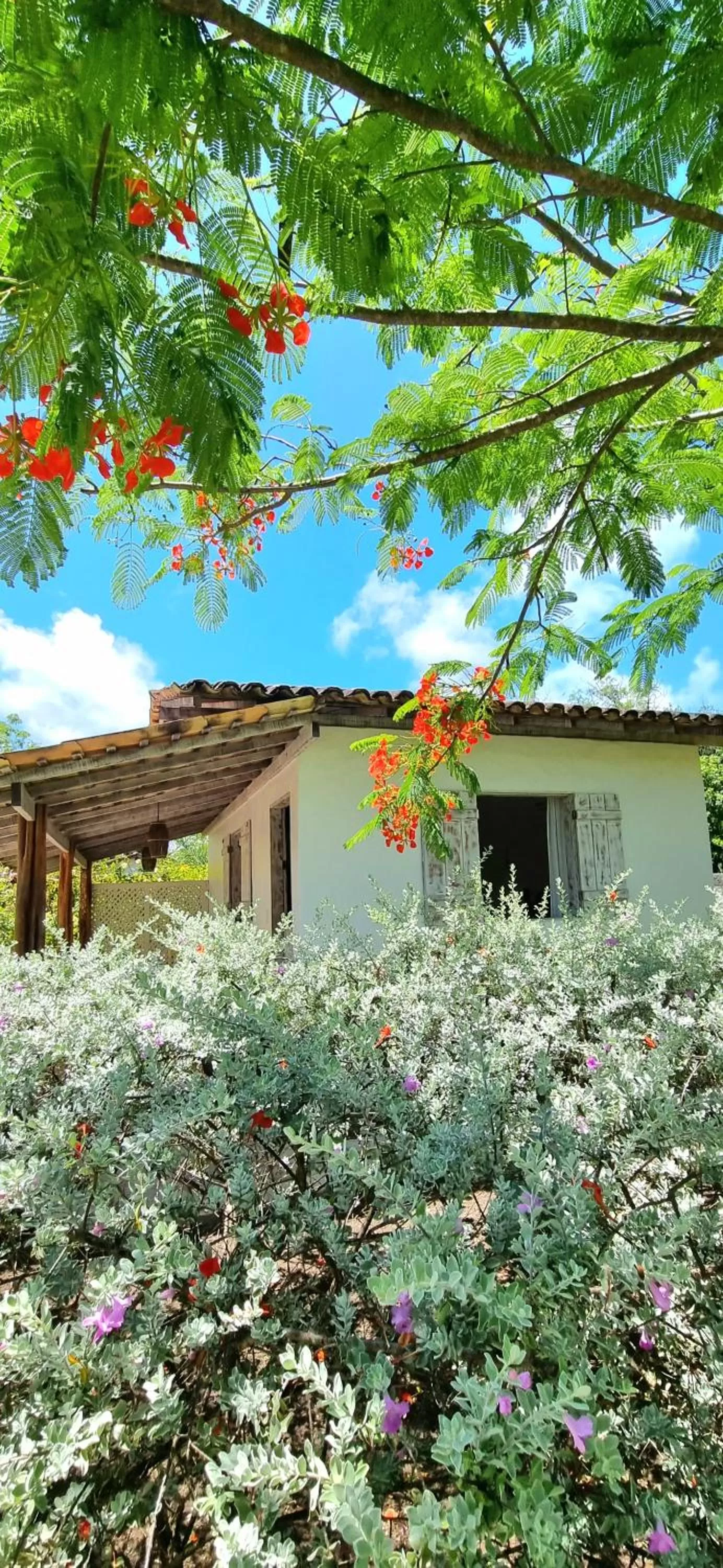 Garden, Property Building in Pousada Villages Boutique Hotel