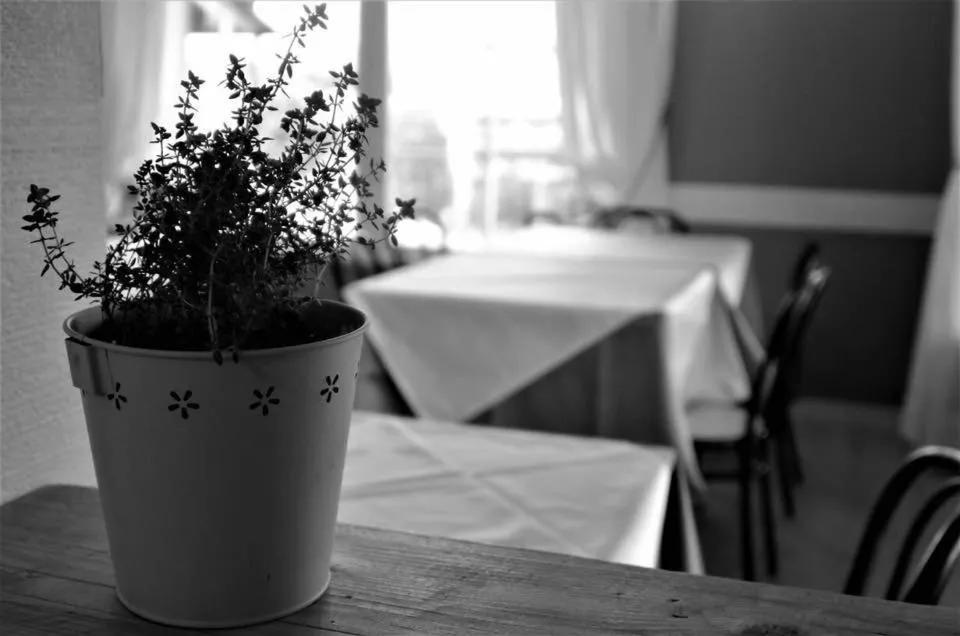 Restaurant/places to eat in Hotel Serena