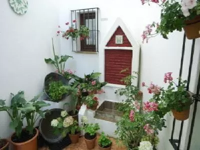 Other in Hotel Apartamento Rural Finca La Media Legua