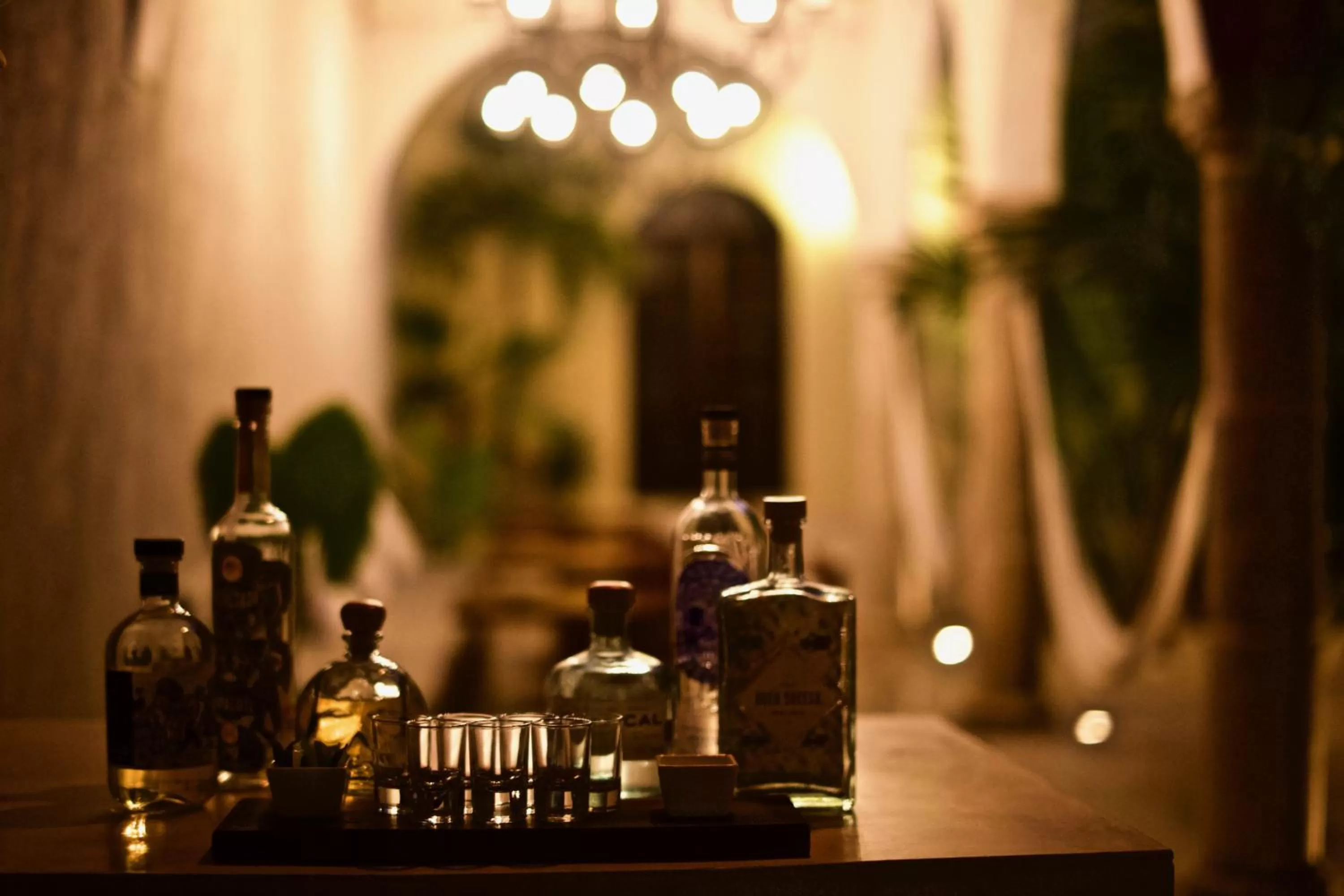 Alcoholic drinks in The Diplomat Boutique Hotel