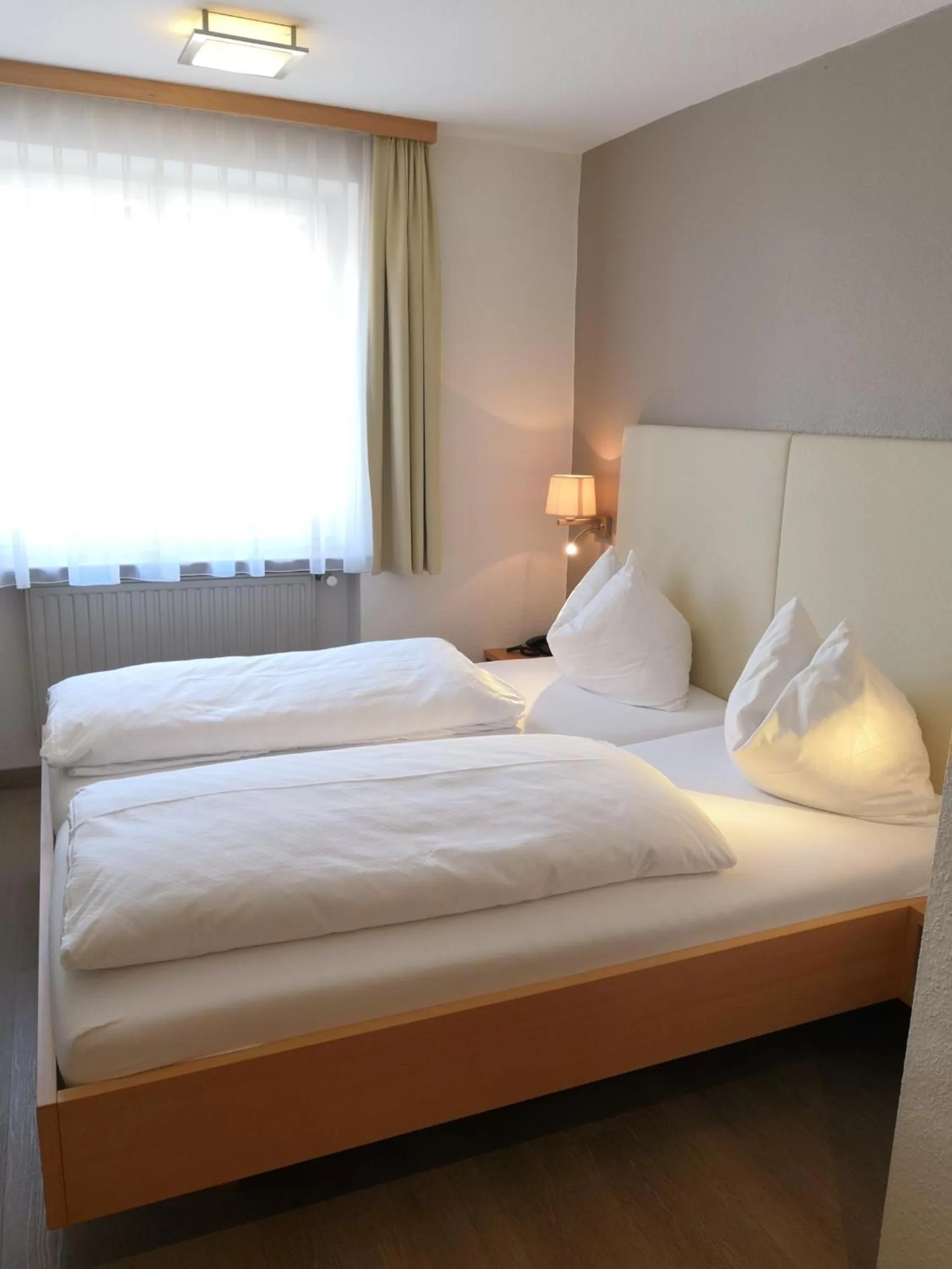 Double Room in Hotel Messmer