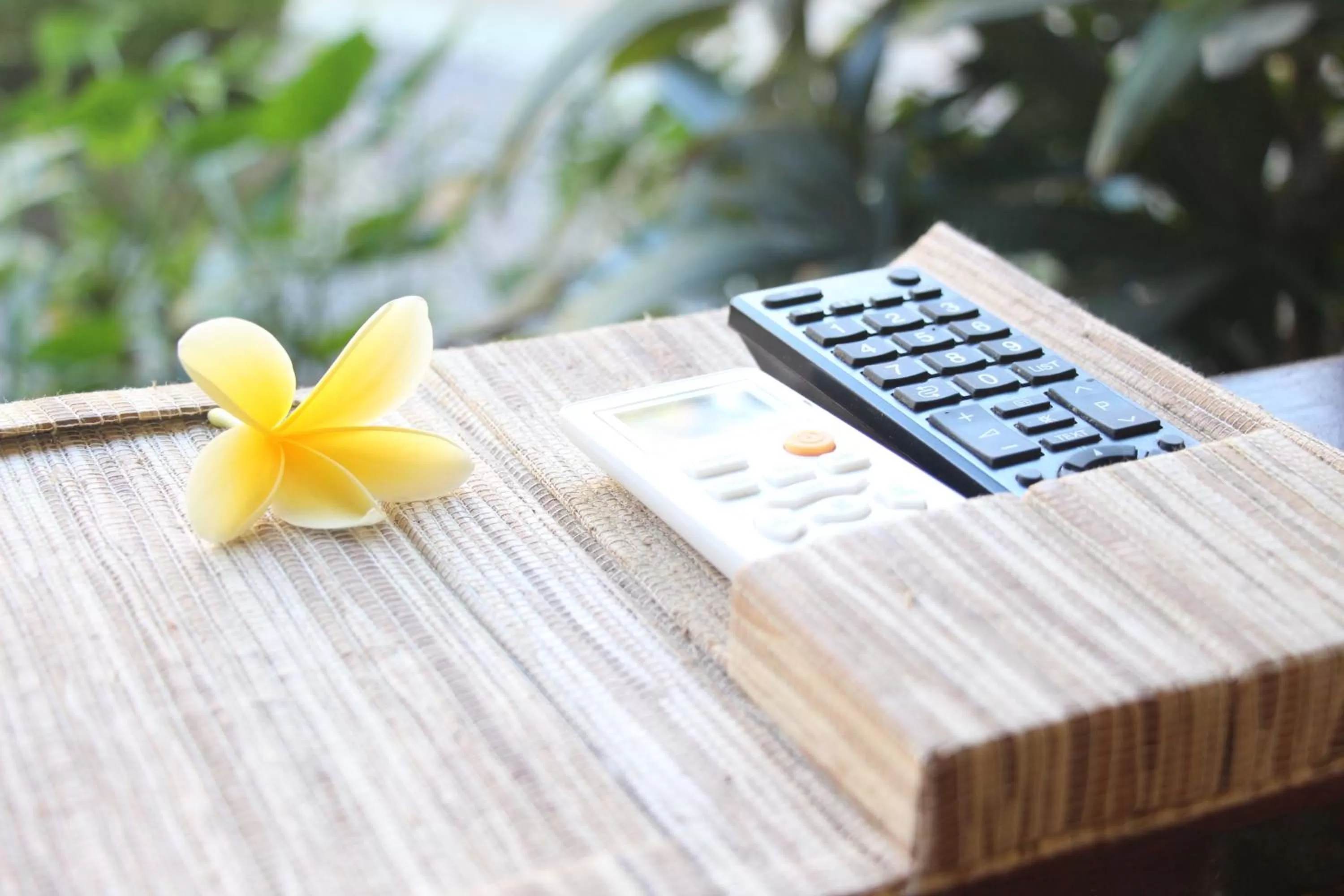 TV and multimedia in Parigata Resorts and Spa