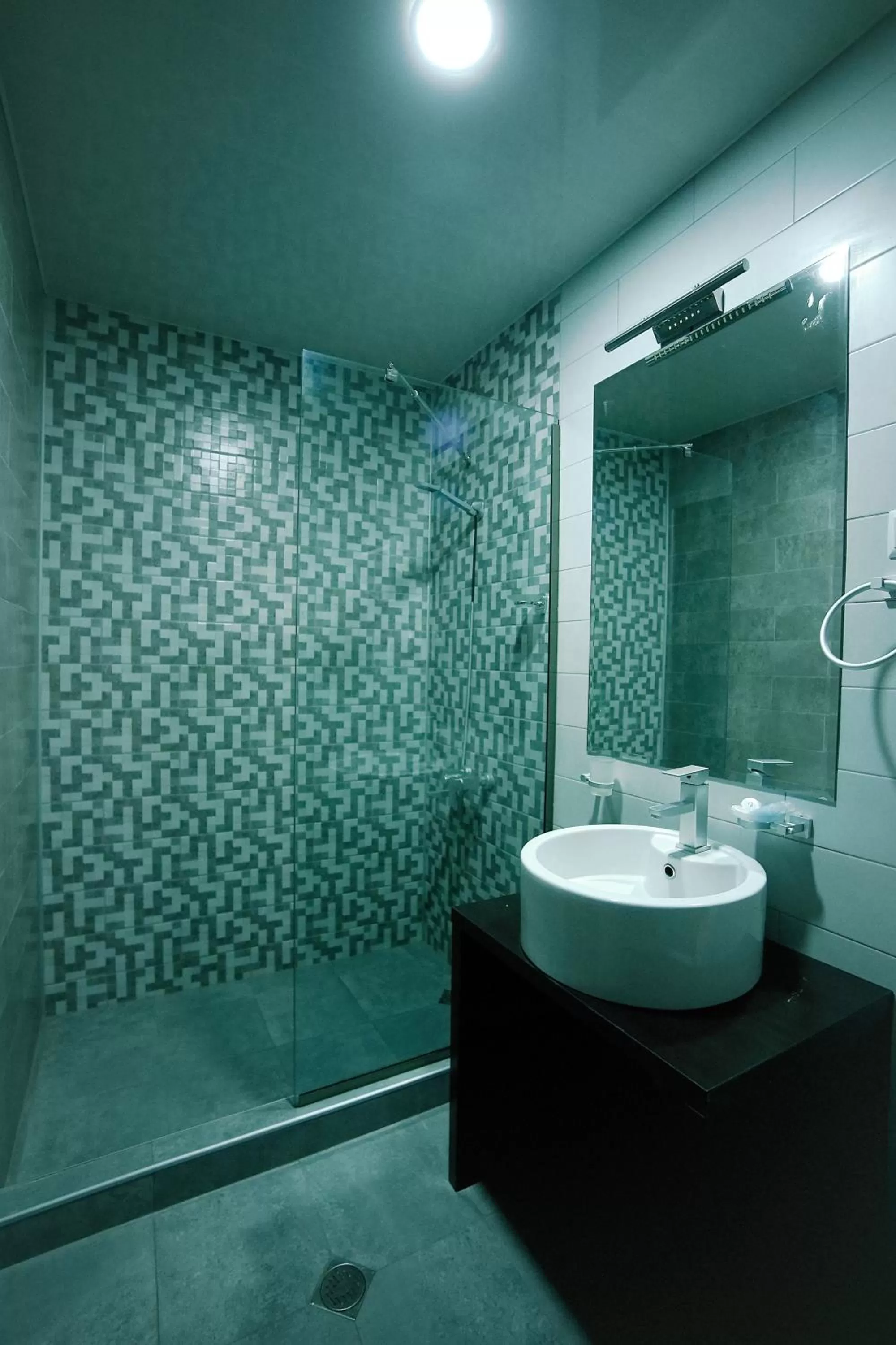 Shower, Bathroom in Hotel Rero