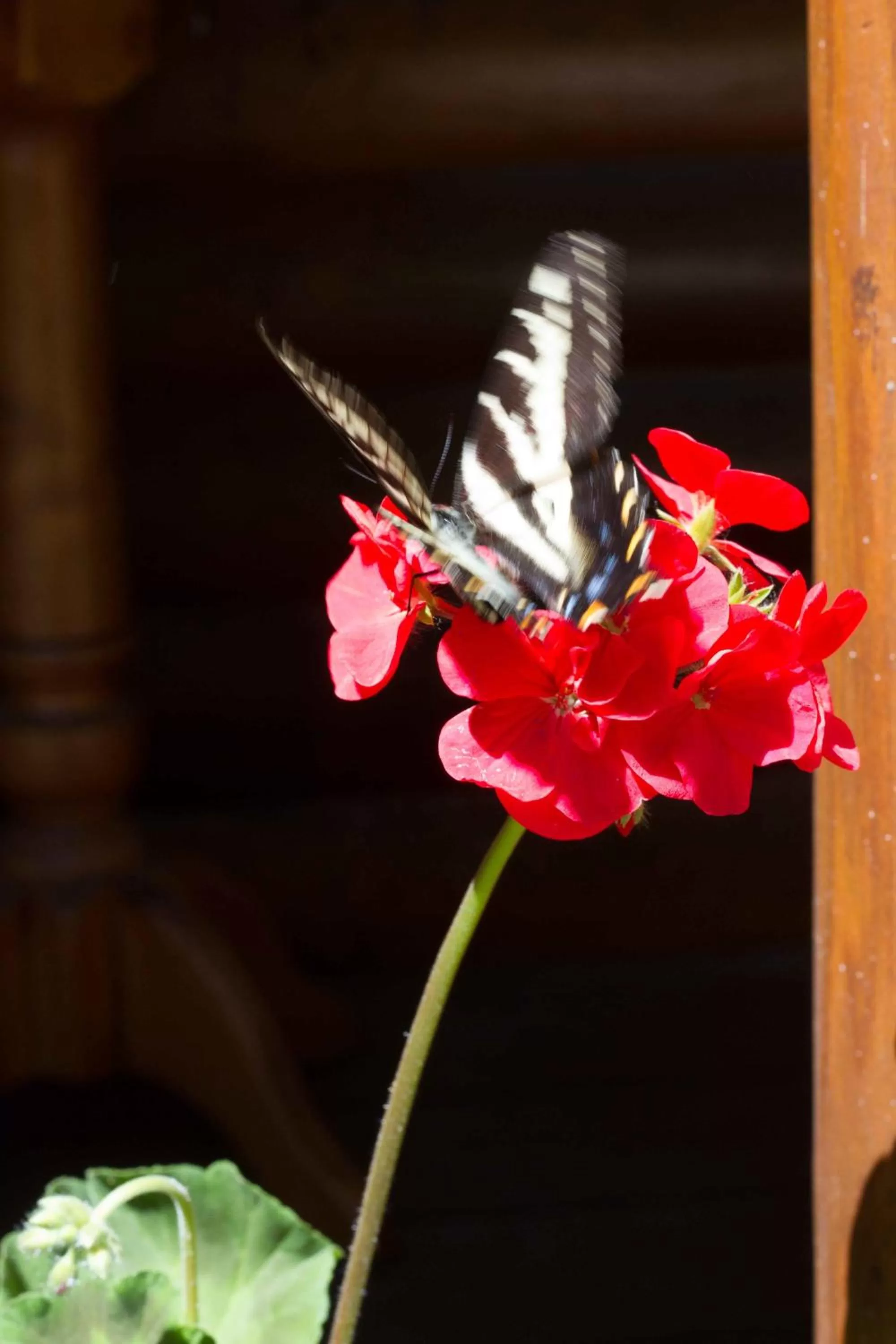 View (from property/room) in Tranquility Bay Waterfront Inn