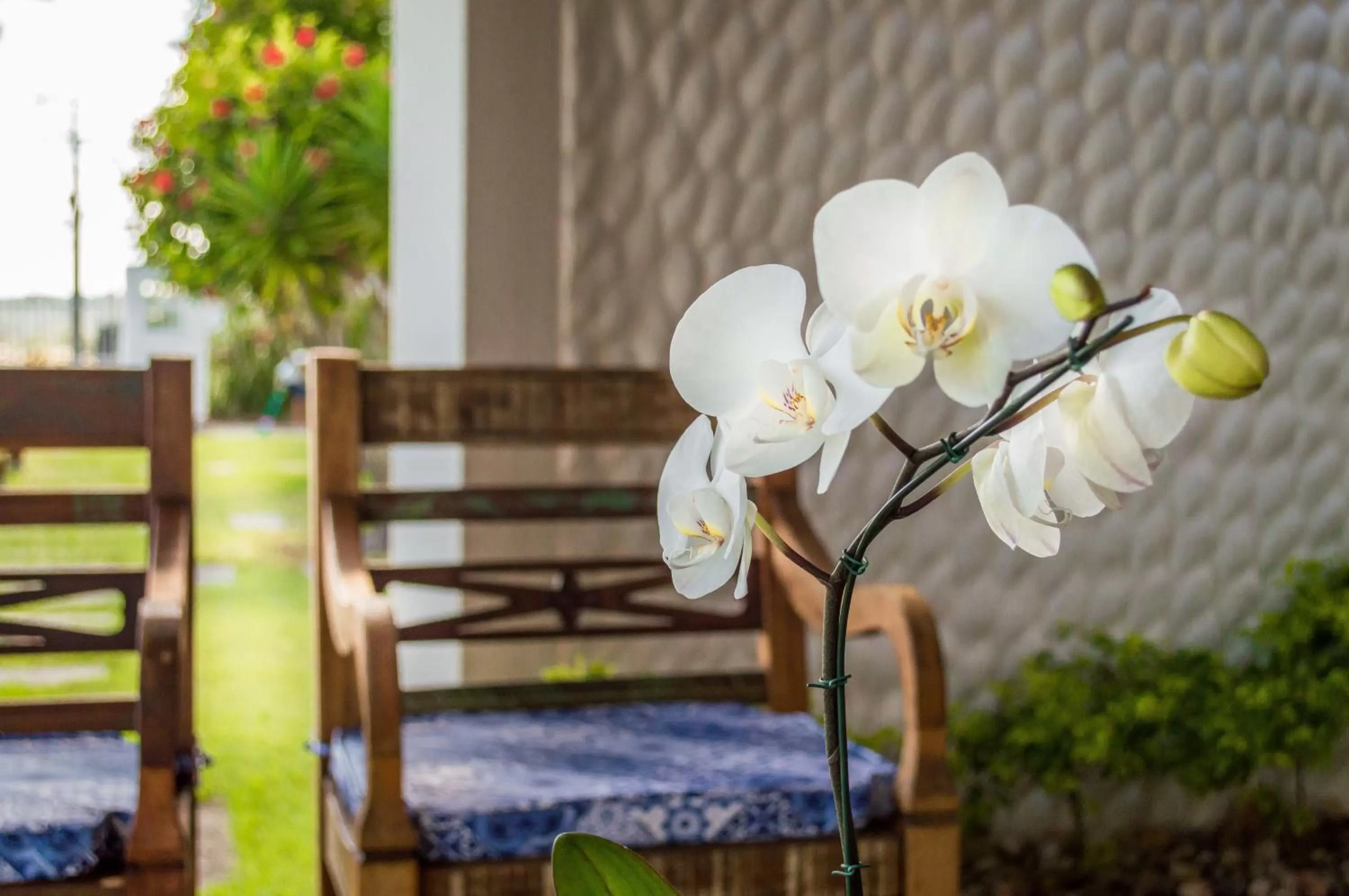 Seating area in Village Paraíso