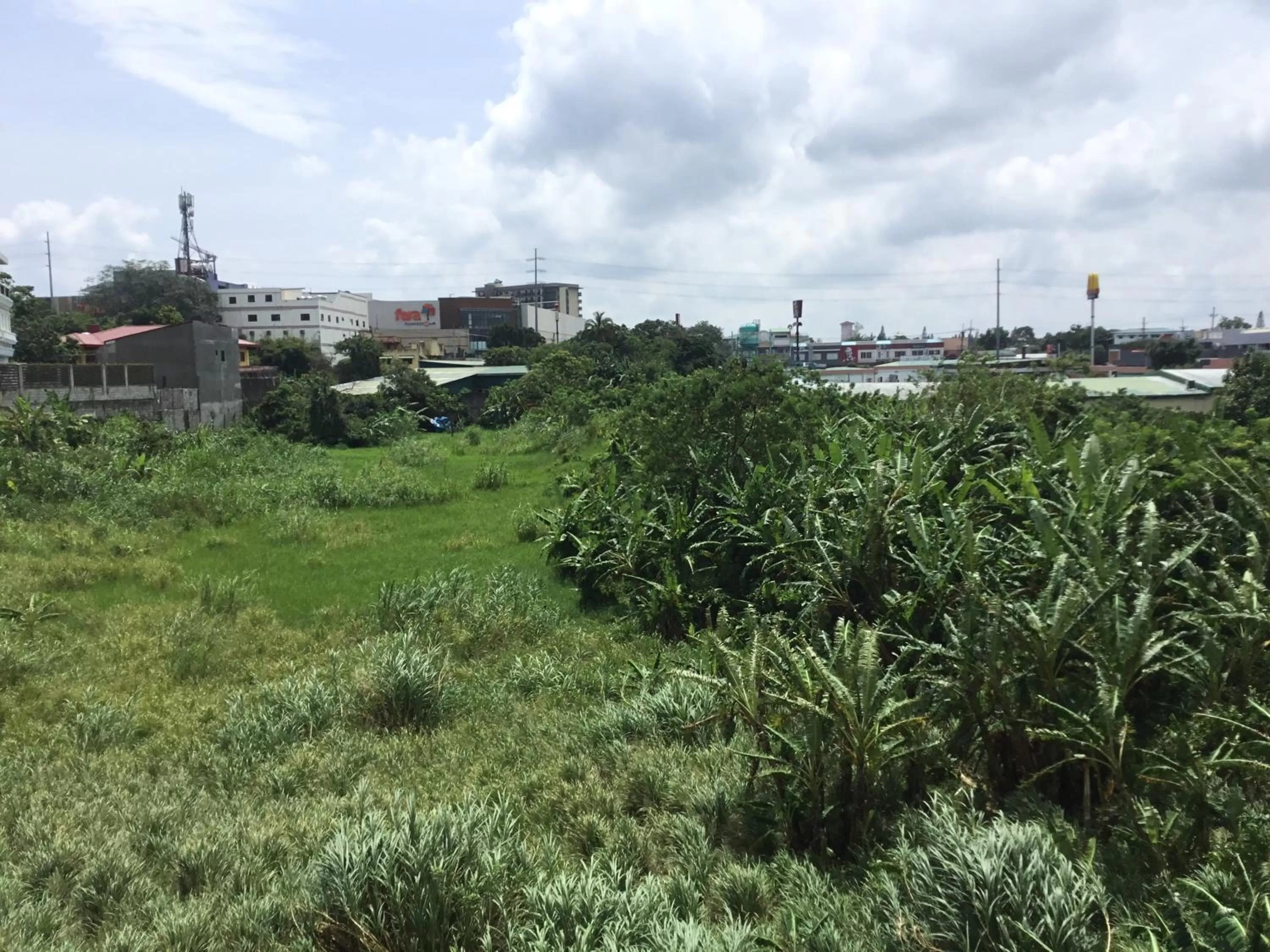 Condo with Free Swimming Pool & Viewing Deck