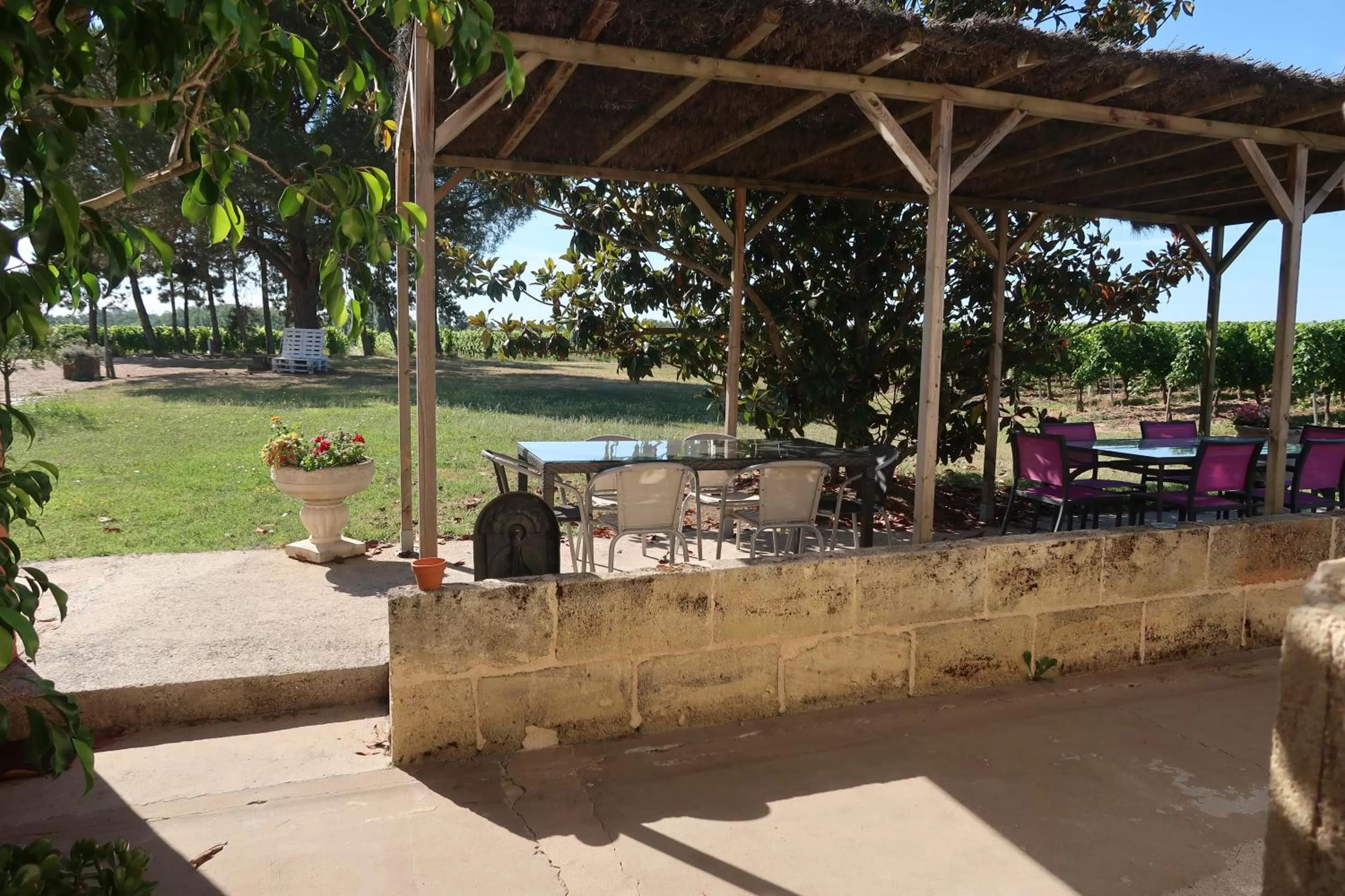 View (from property/room) in l'Orangerie de La Pontête