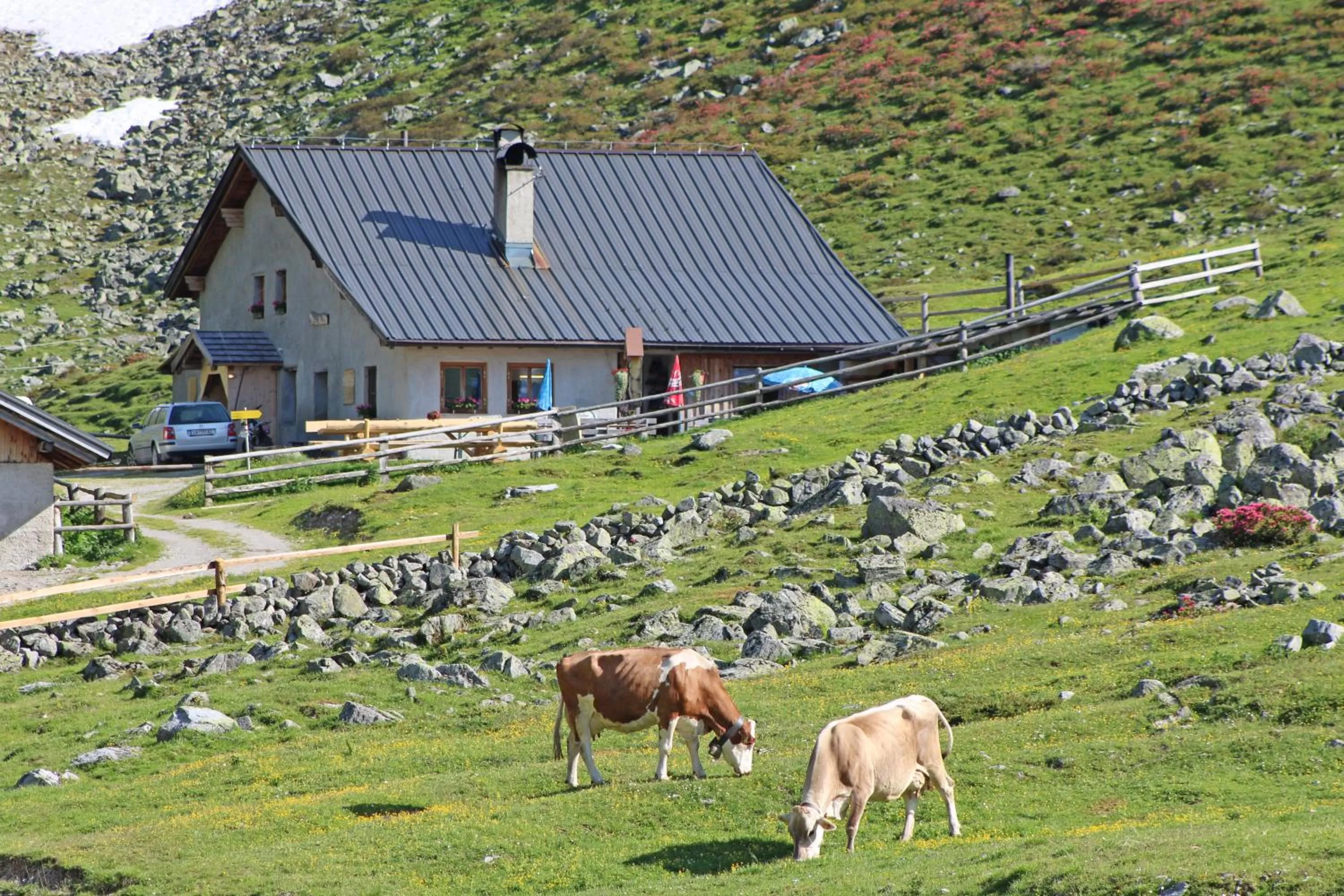 Spring, Property Building in Pension Fuchs