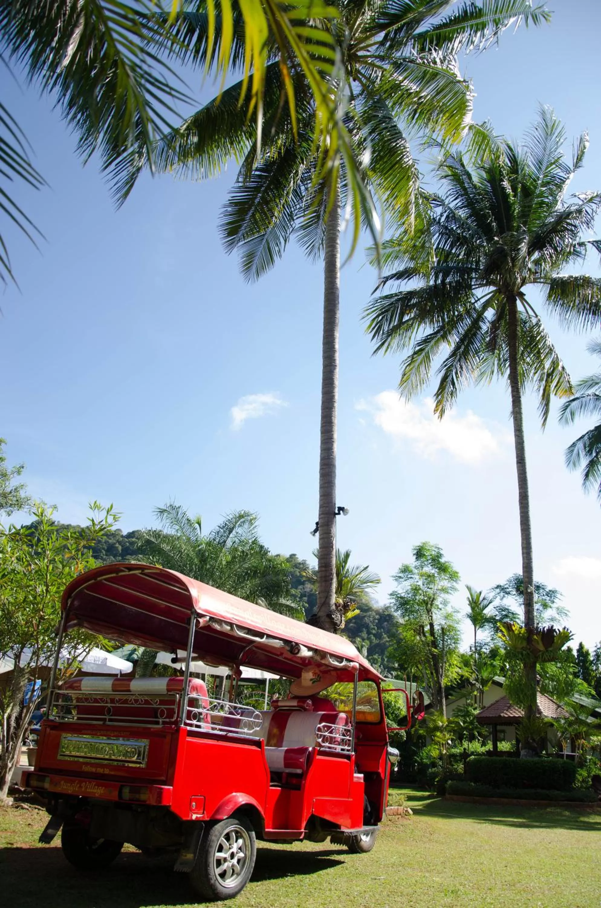 Property building in Jungle Village Bungalow
