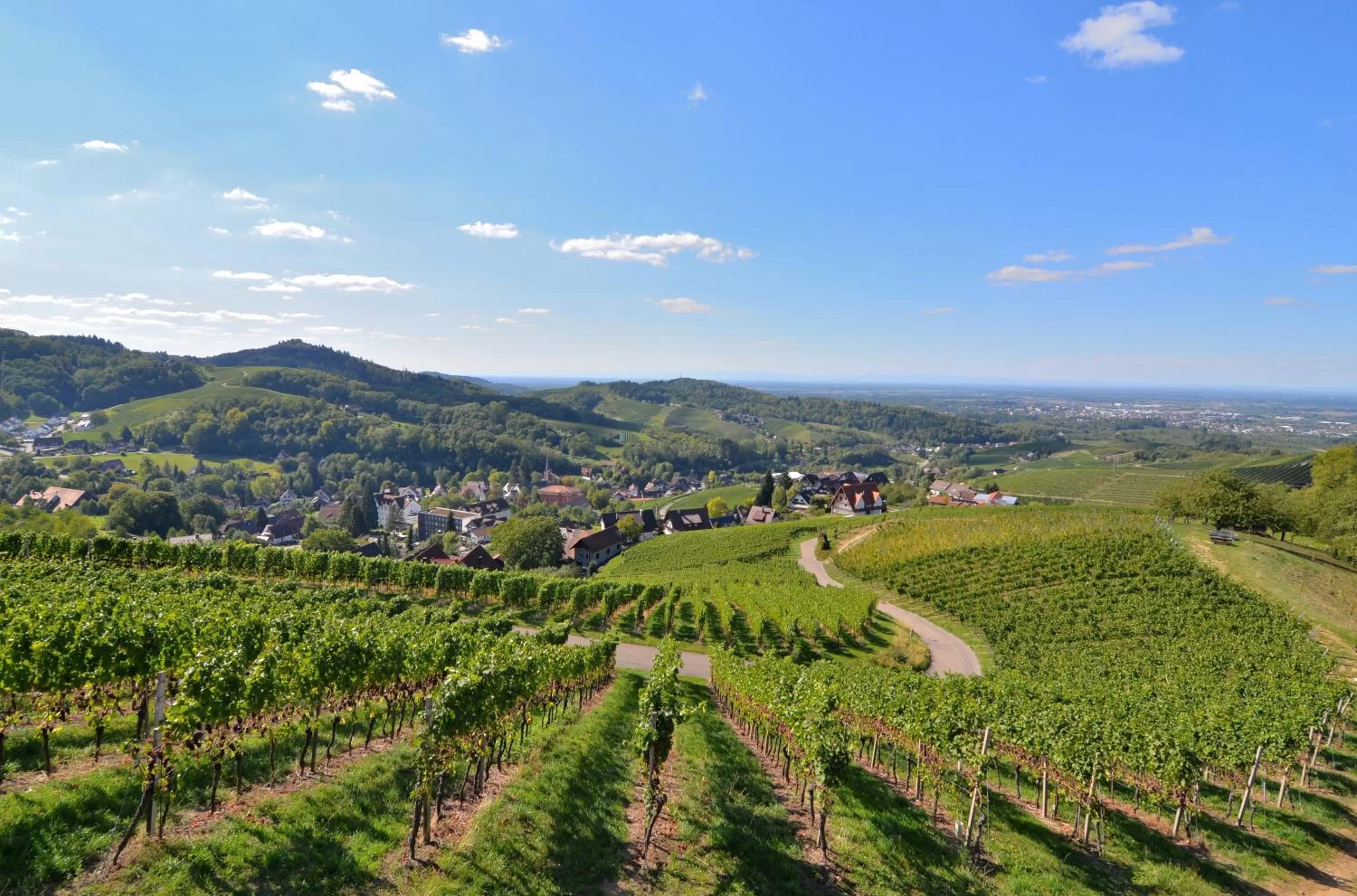 Natural landscape, Bird's-eye View in RelaxHotel Tannenhof