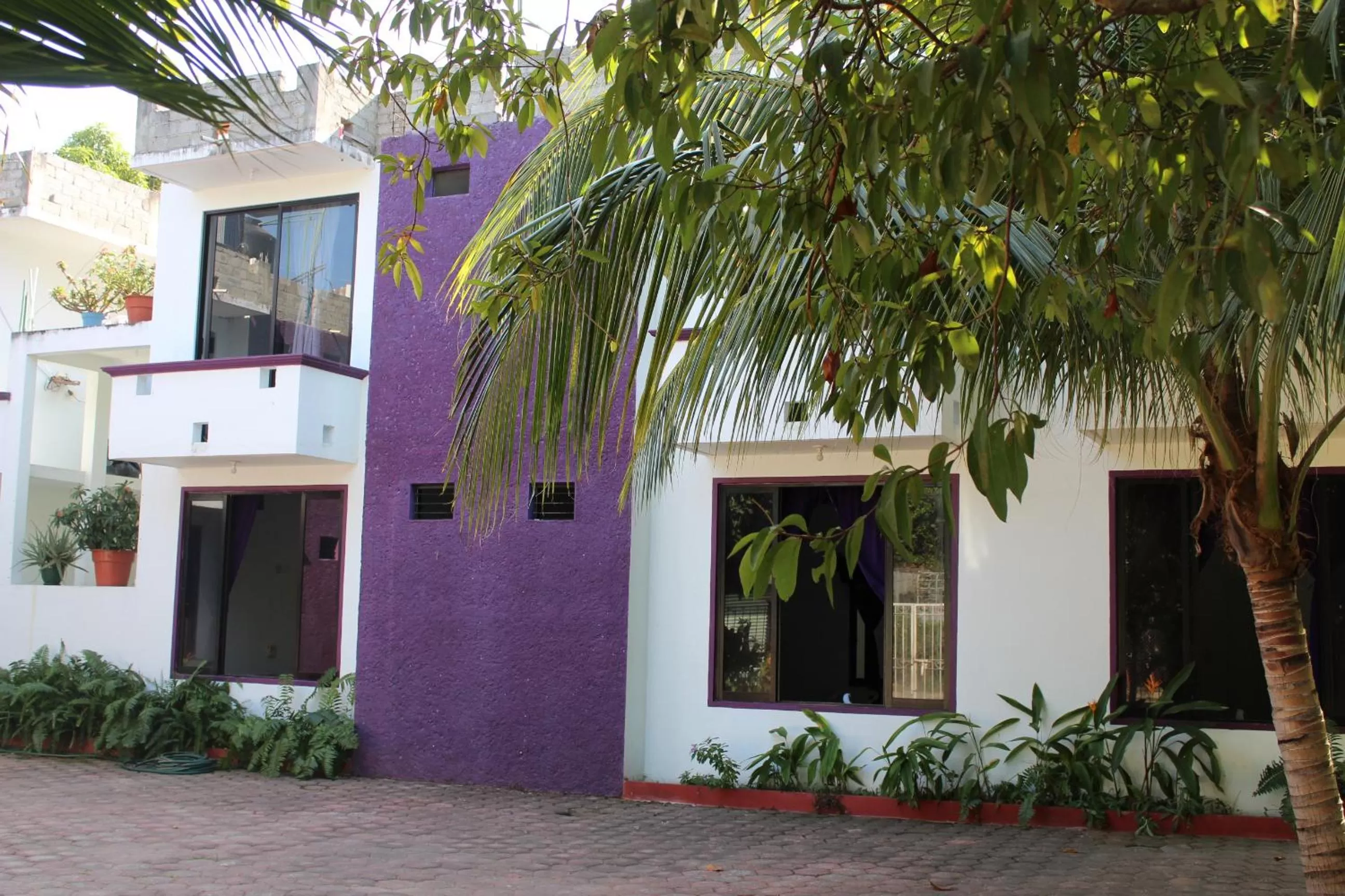 Property building in Hotel Palmarito