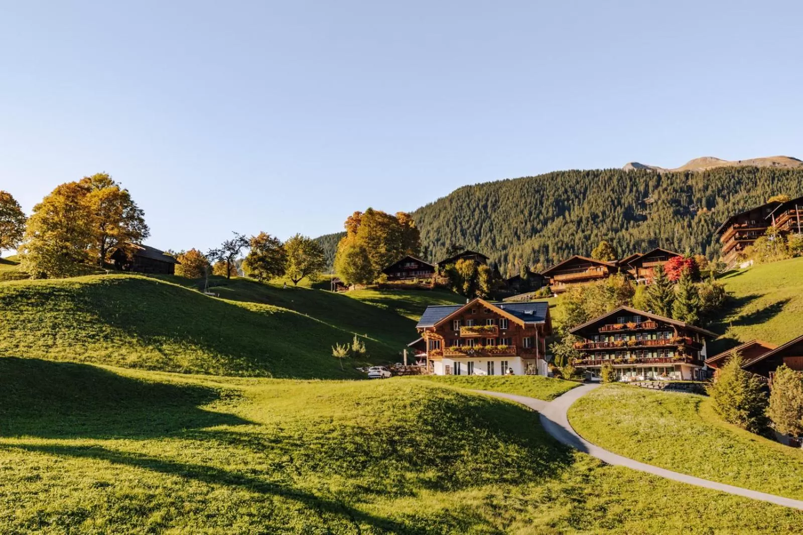 View (from property/room) in Hotel Fiescherblick