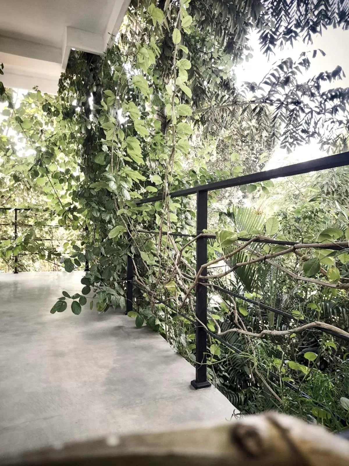 Balcony/Terrace in Weligama Bay Watsila Resort