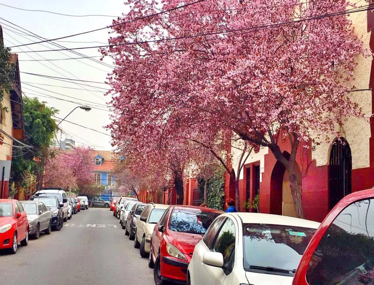 Spring, Patio/Outdoor Area in Tralkan B&B