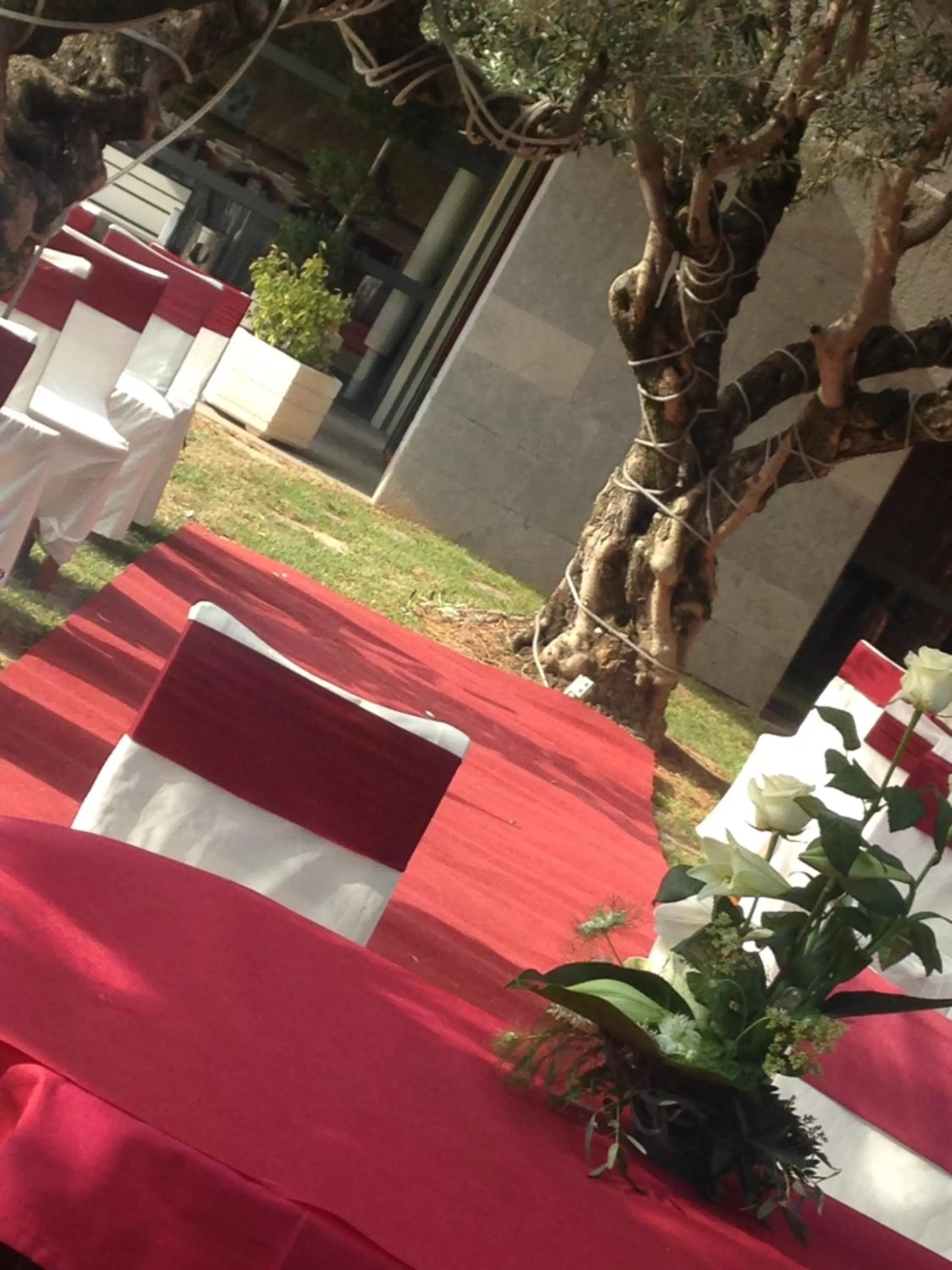 Garden in Hotel Les Torres