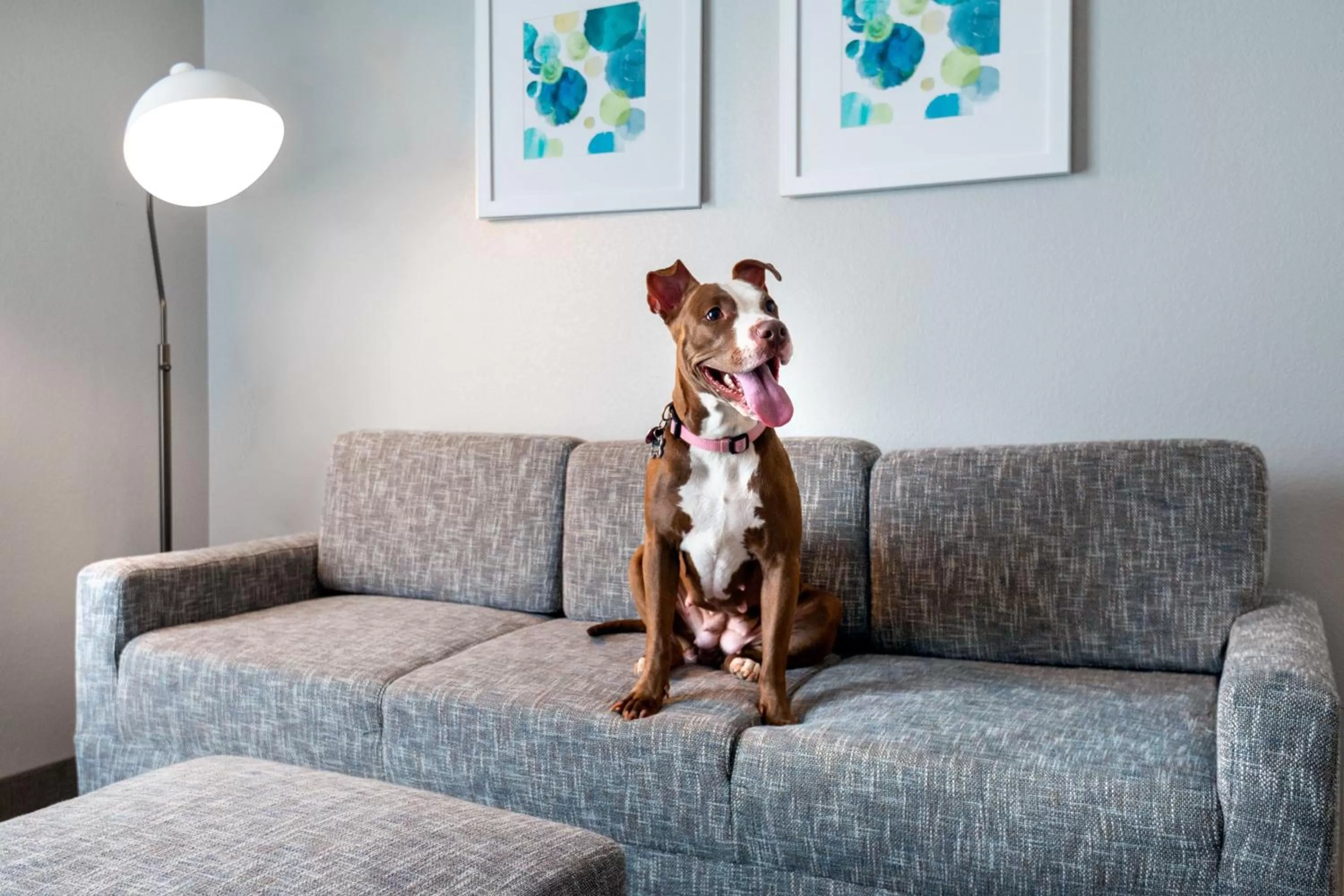 Other in TownePlace Suites Buffalo Airport