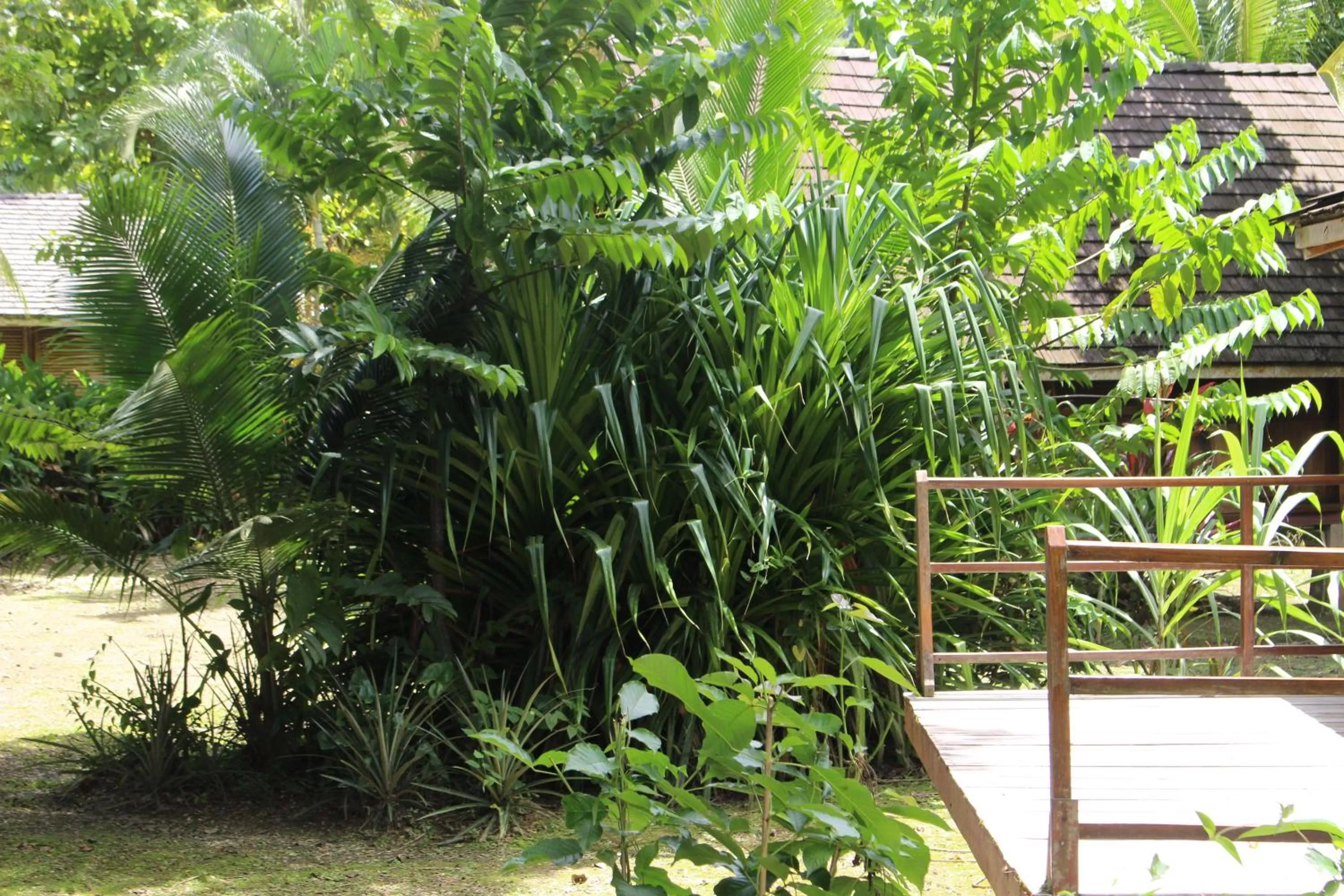 Patio, Garden in Acajou Hotel