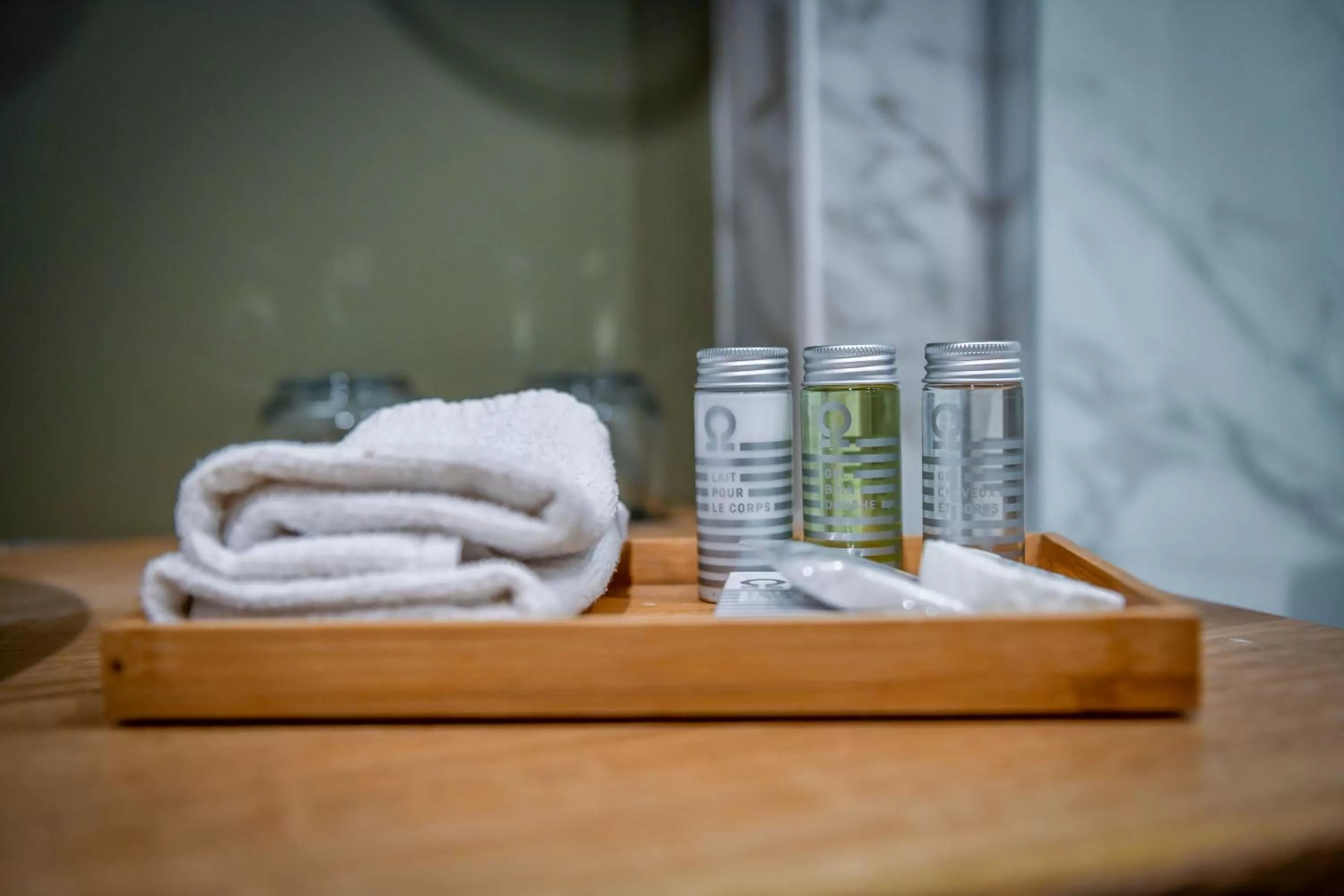 Bathroom in Chateau du Clos de la Ribaudiere - Teritoria