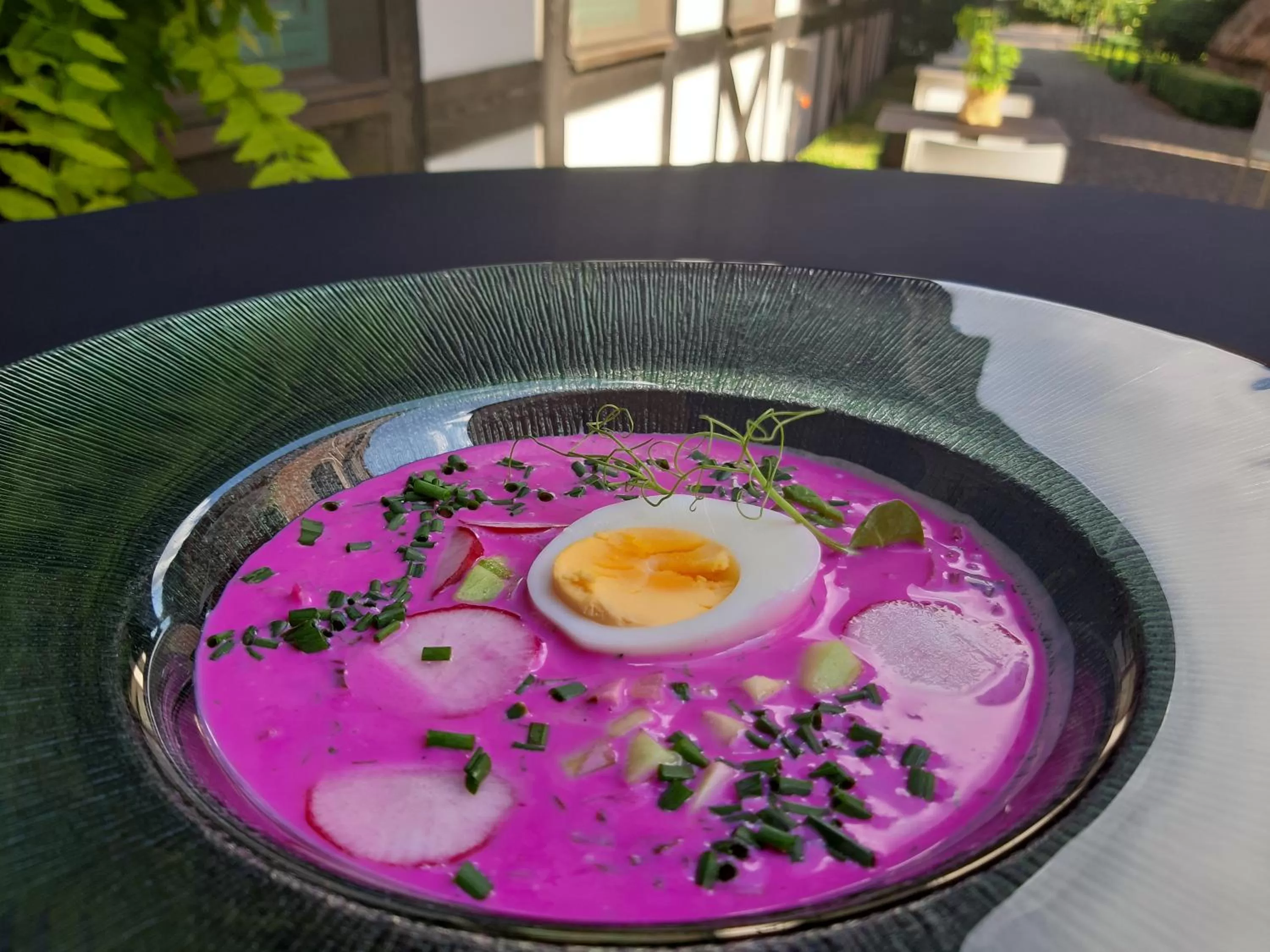 Food close-up in Hotel 1231