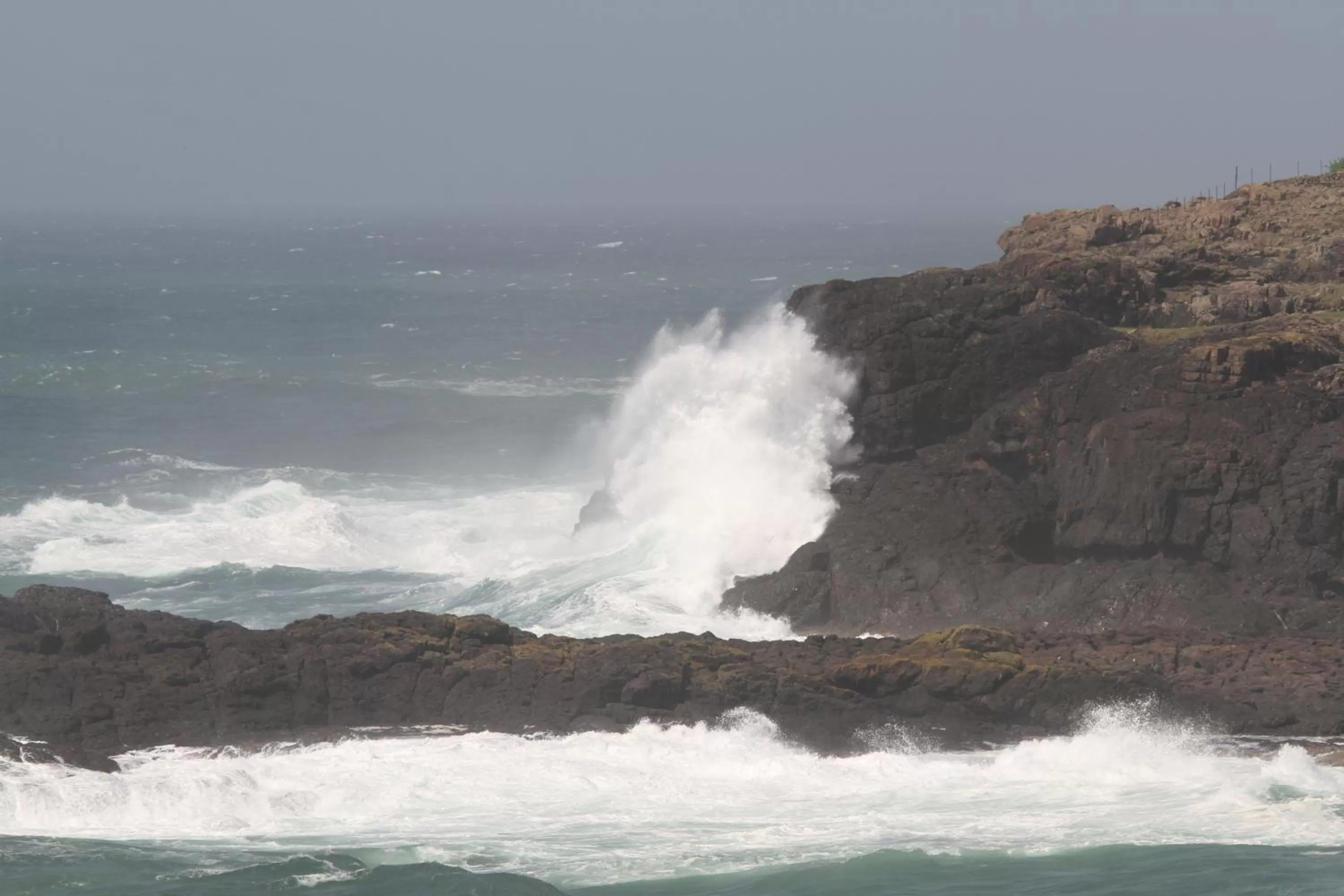 Area and facilities in Sea Whispers