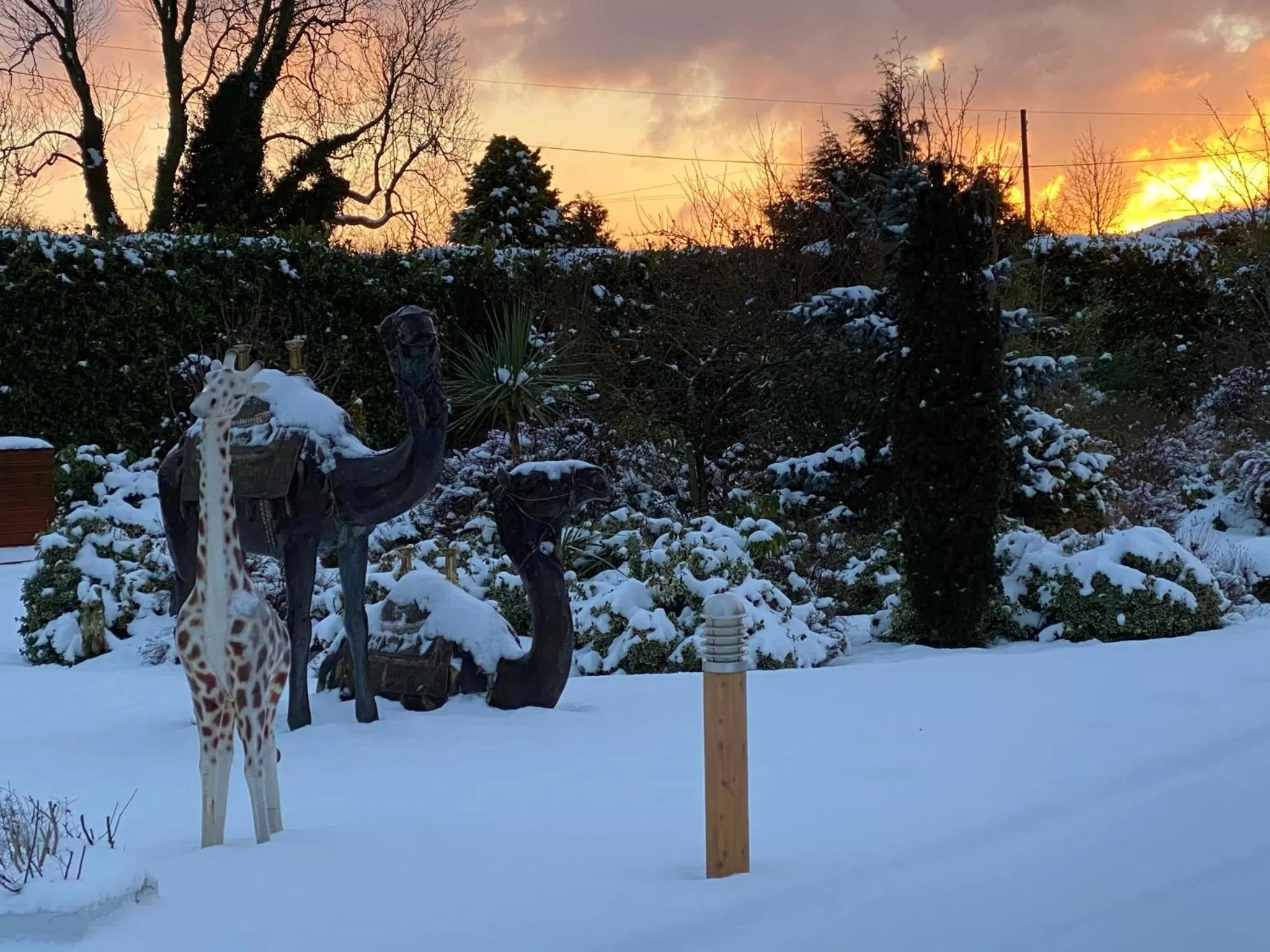 Garden in The Hilltop Haven