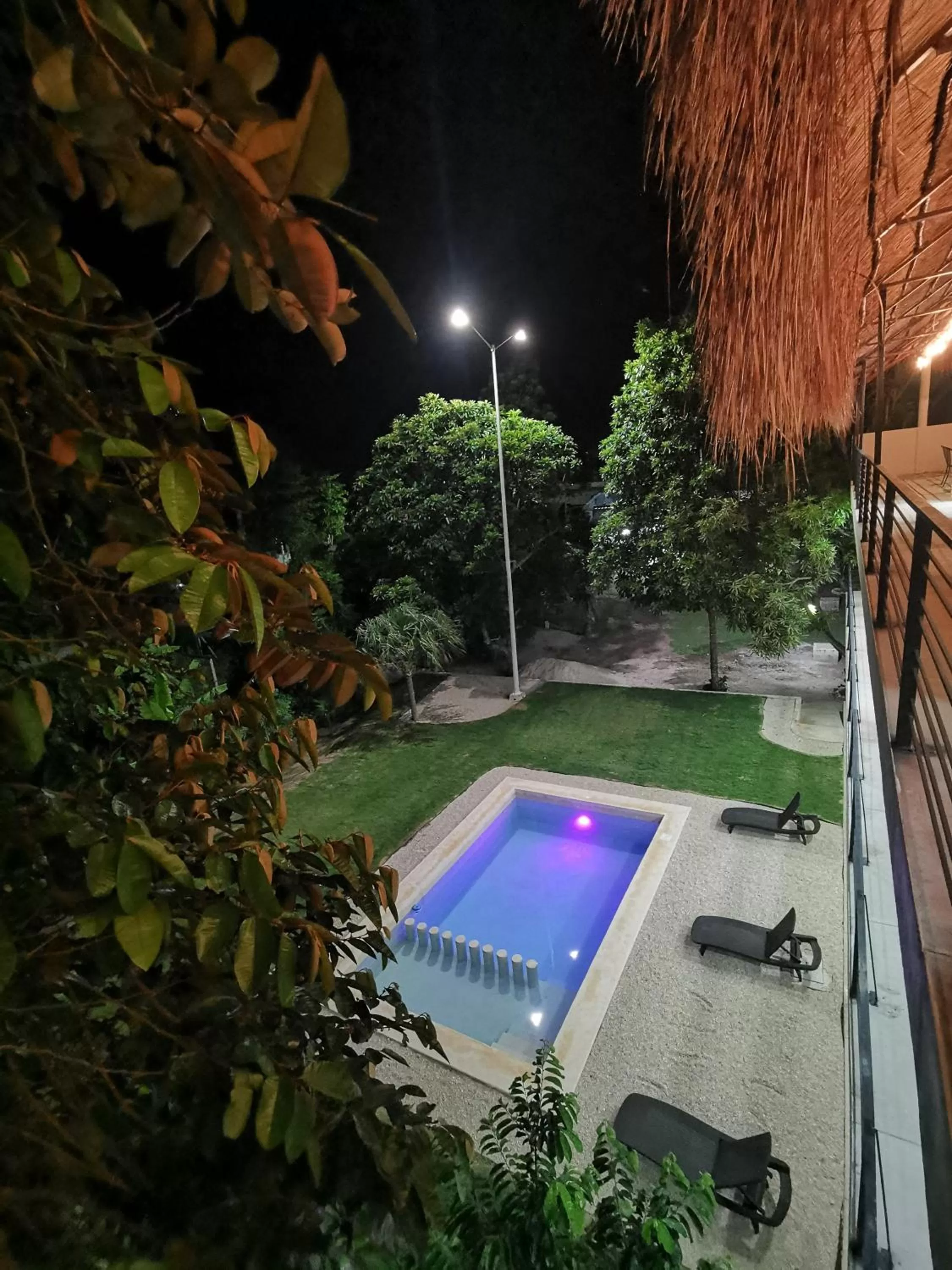 Garden in Hotel Makech