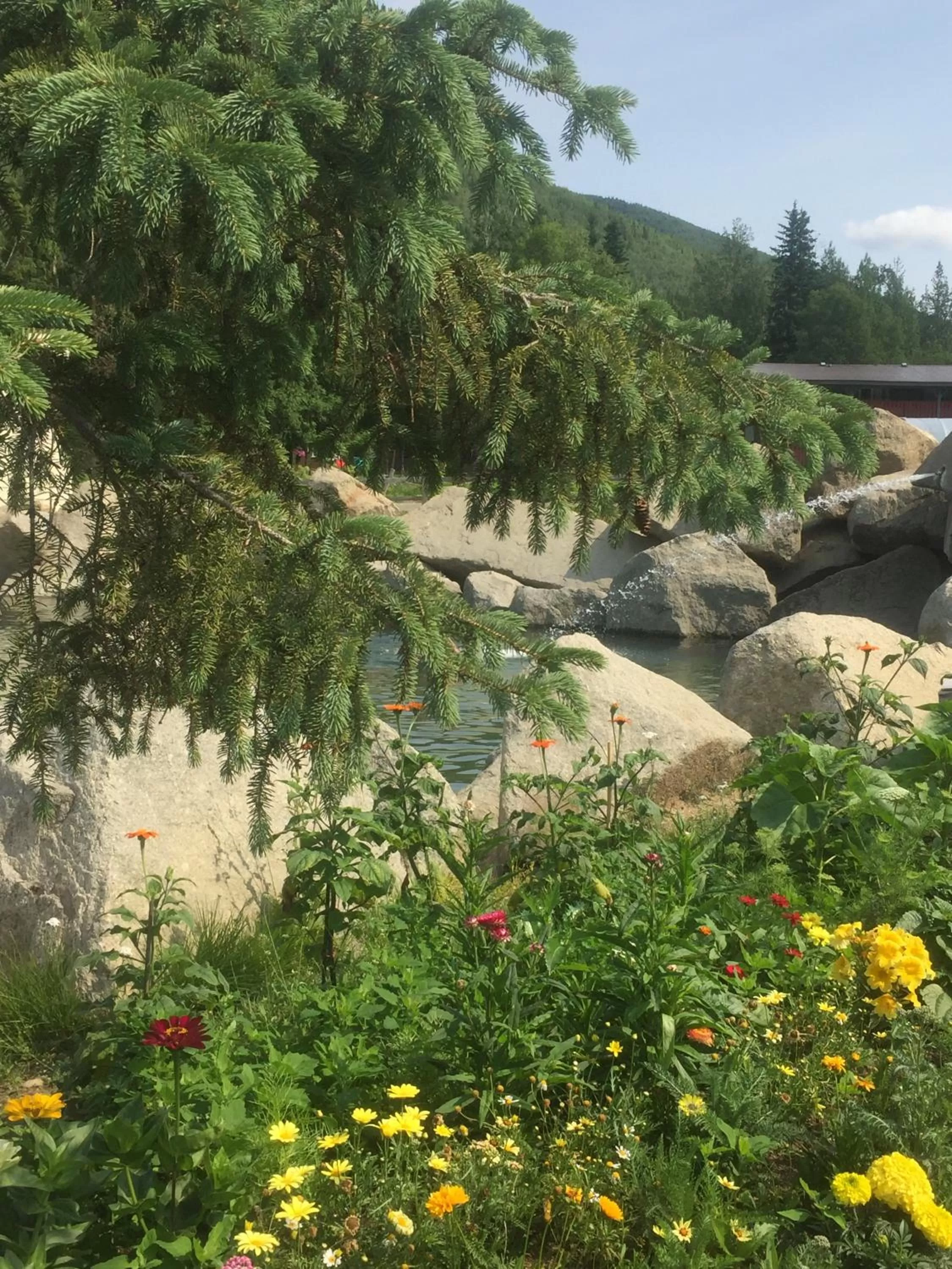 Property building in Chena Hot Springs Resort