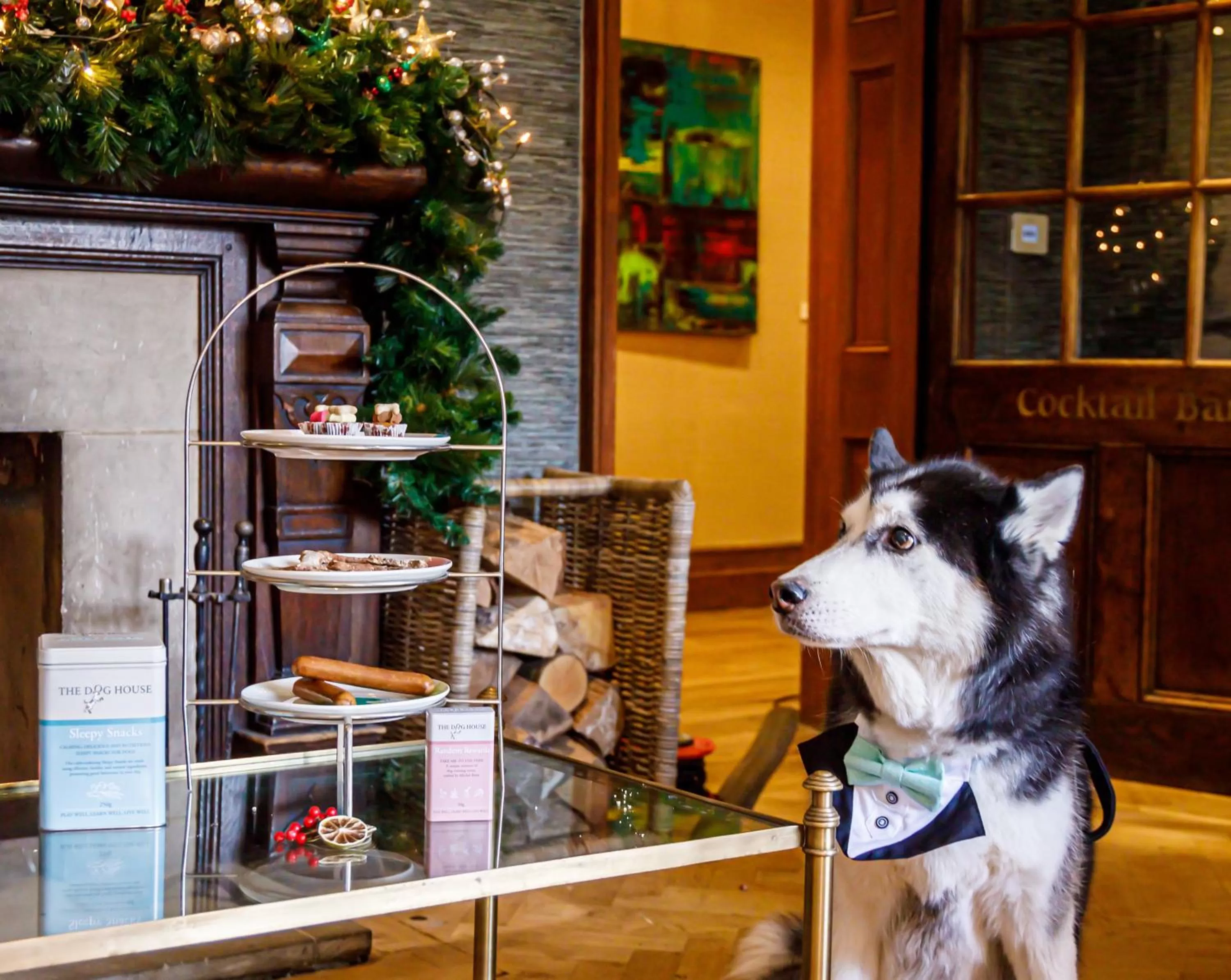 Pets in Great Fosters - Near Windsor