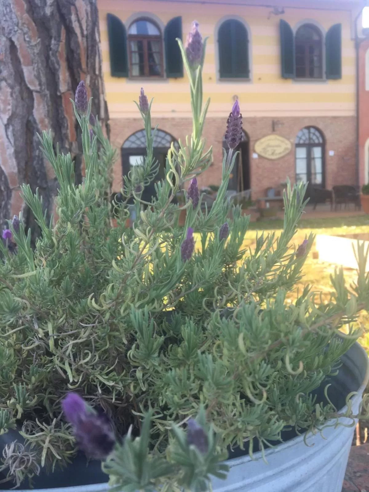 Property building in Locanda il Fornello