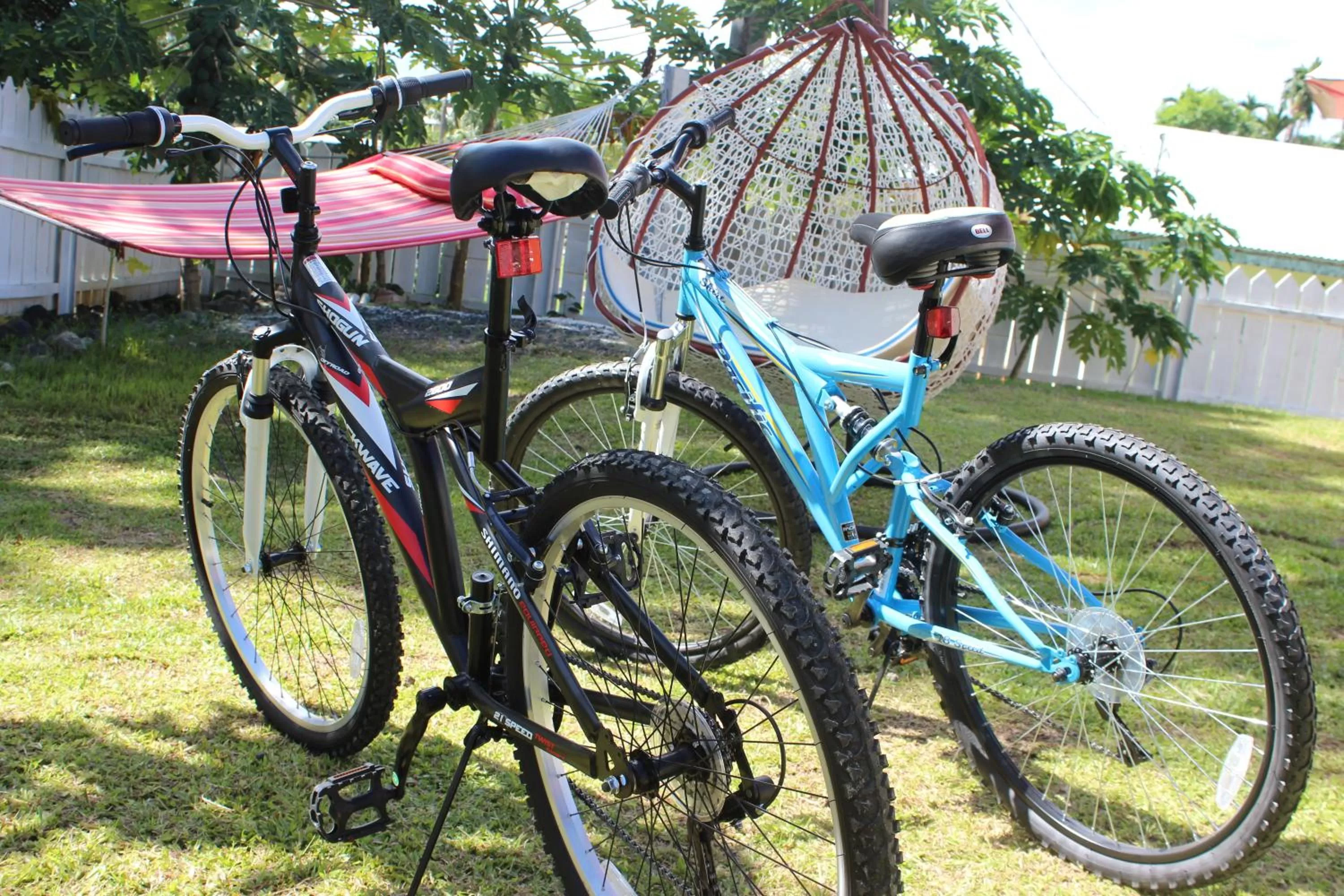 Cycling, Biking in Yogi Dives B&B