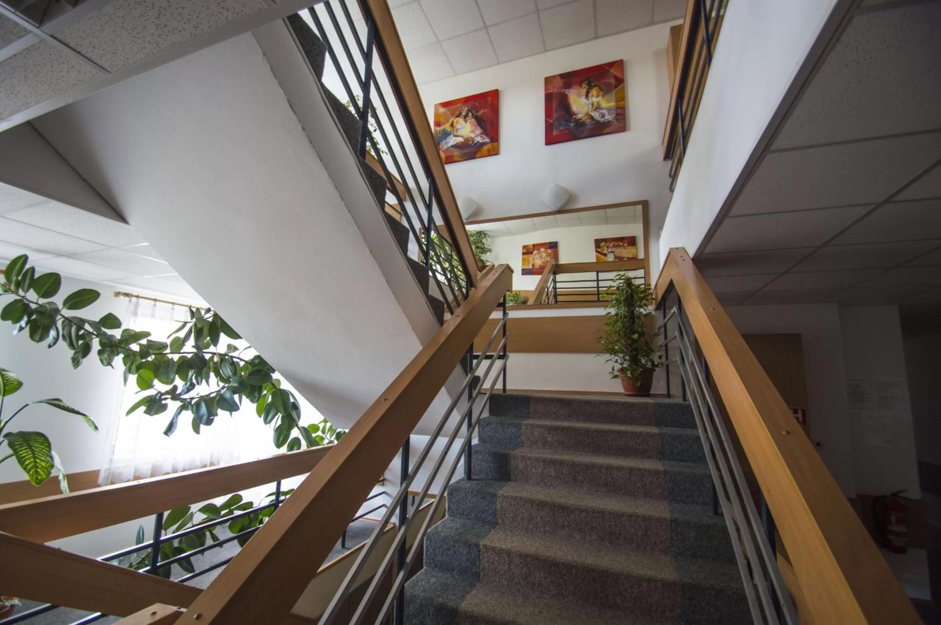 Area and facilities, Balcony/Terrace in Hotel Sport