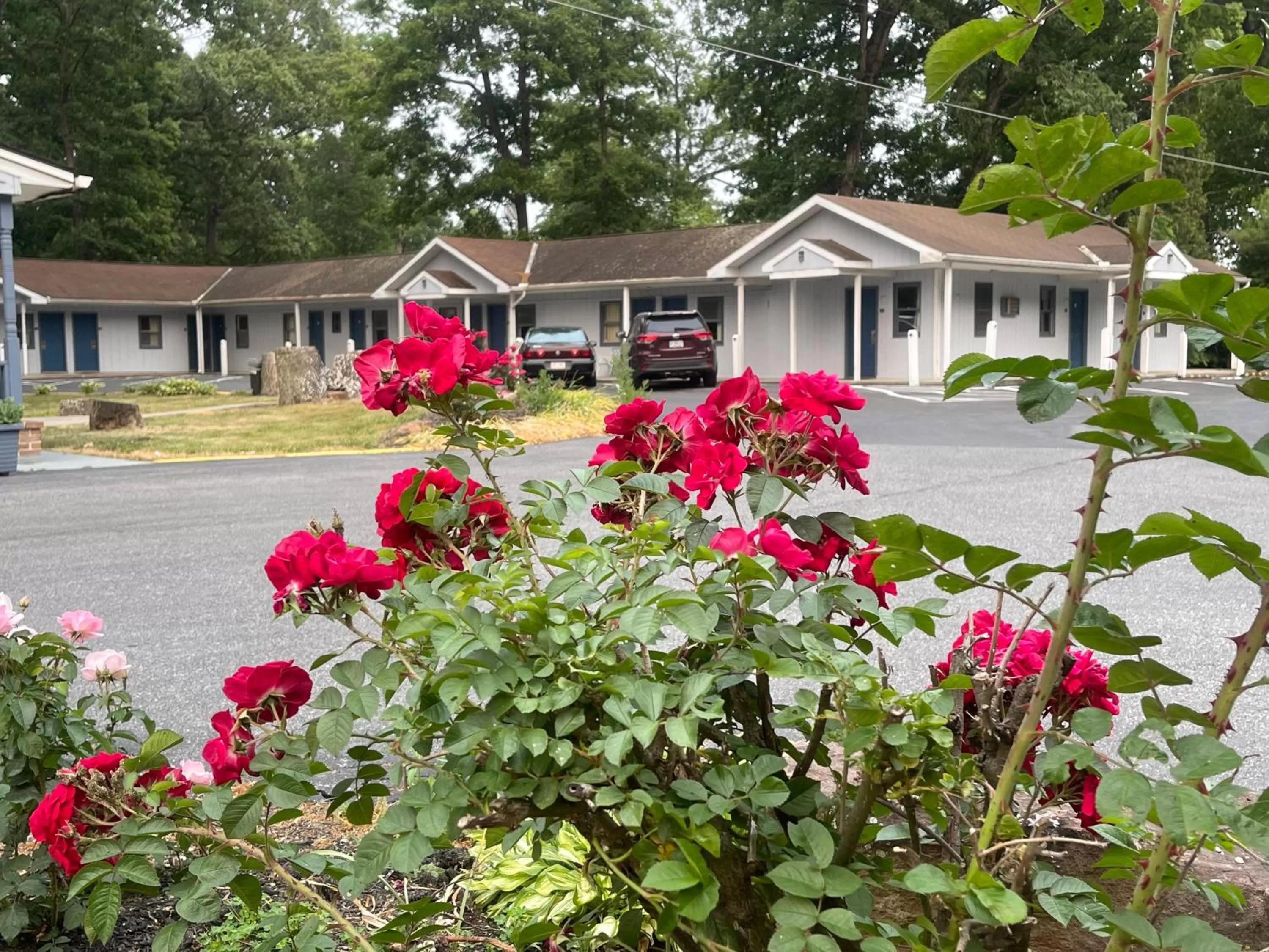 Property building in Pennswoods Inn
