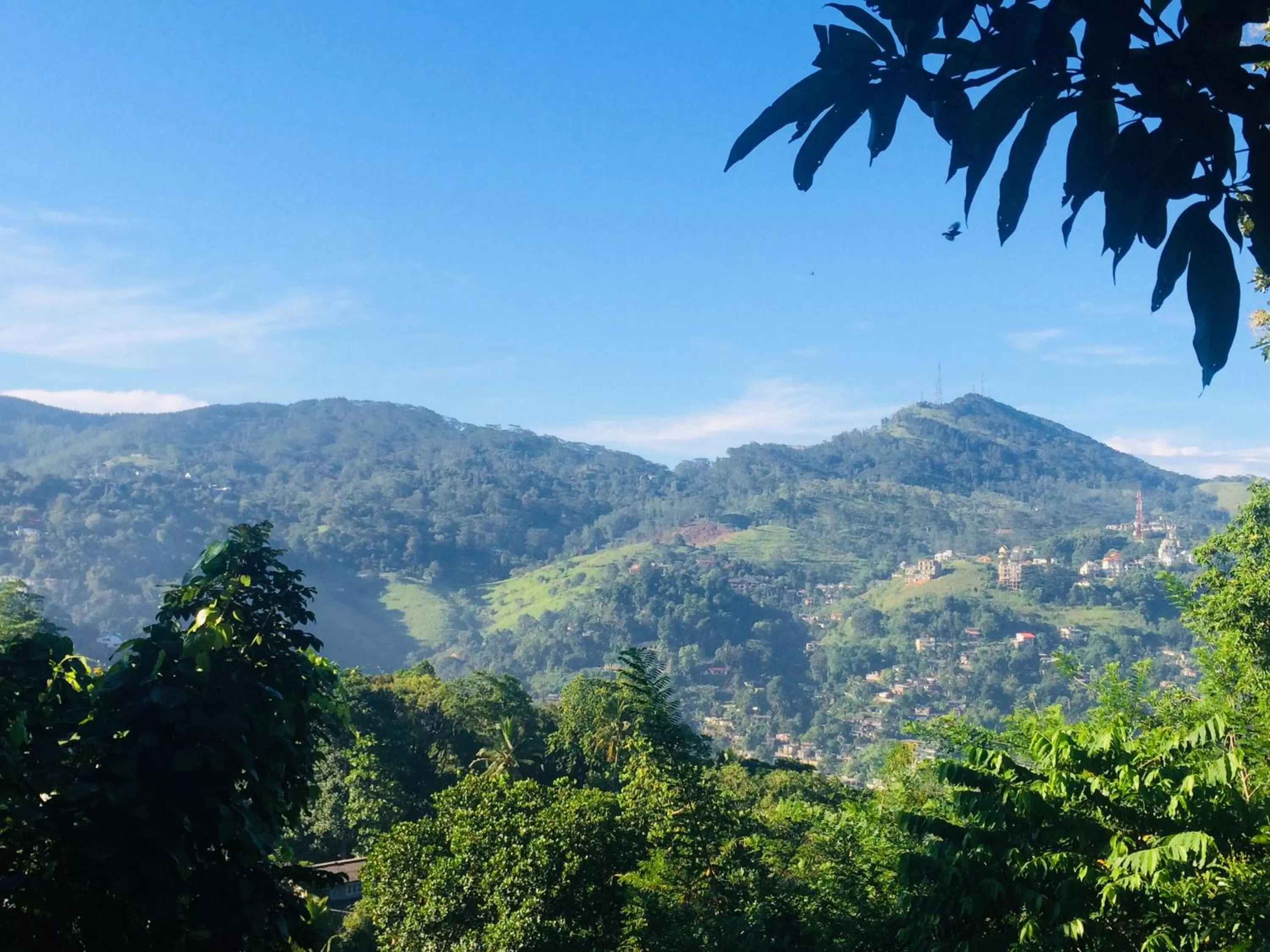 Mountain view in Selyna Sky Terrace