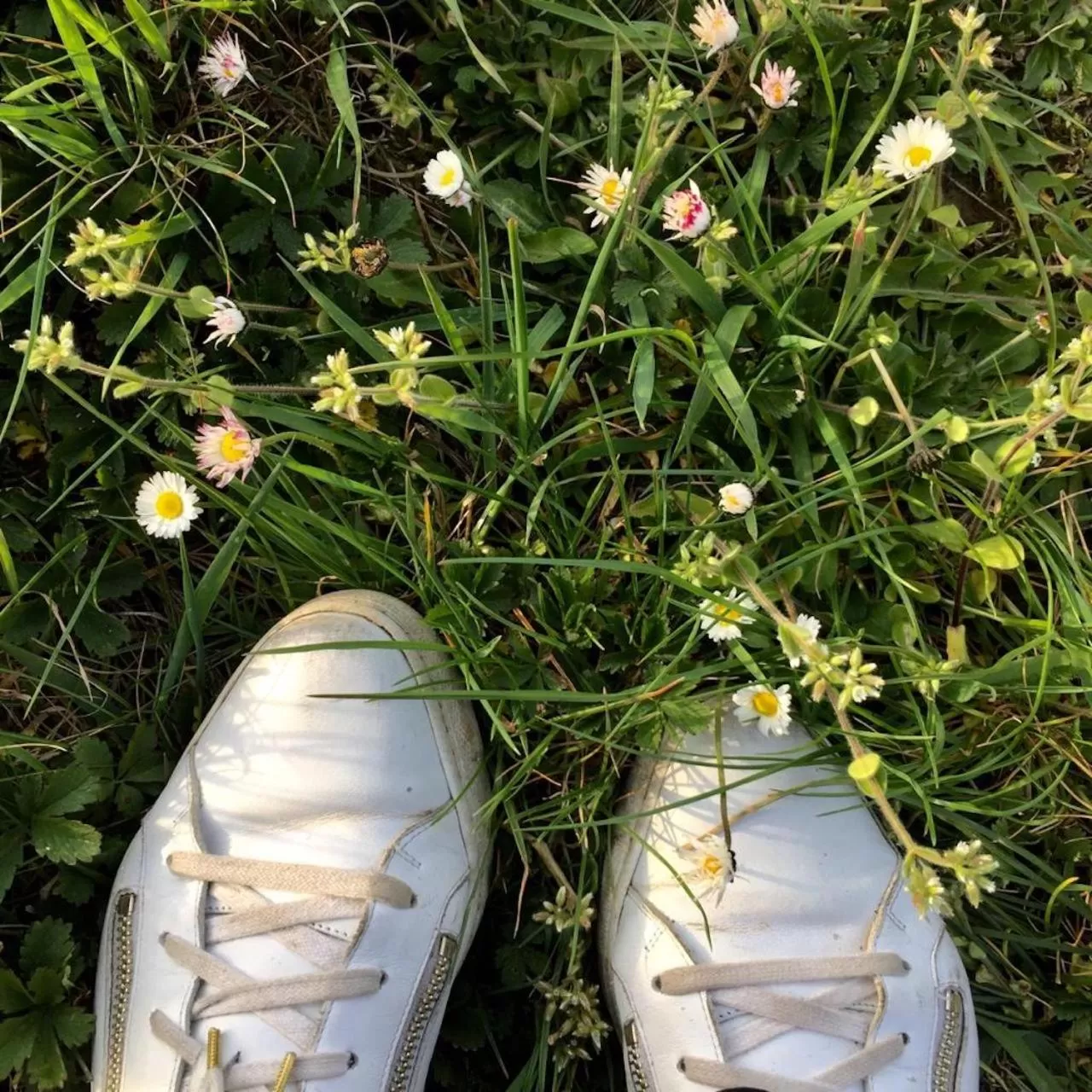 Hiking in B&B Het Atelier