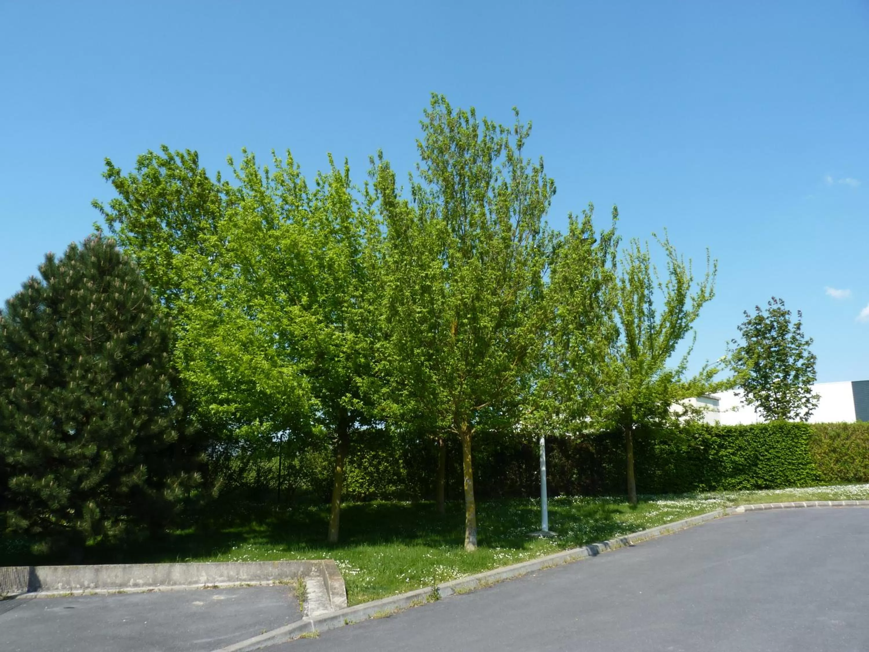 Natural landscape in B&B HOTEL Châlons-en-Champagne