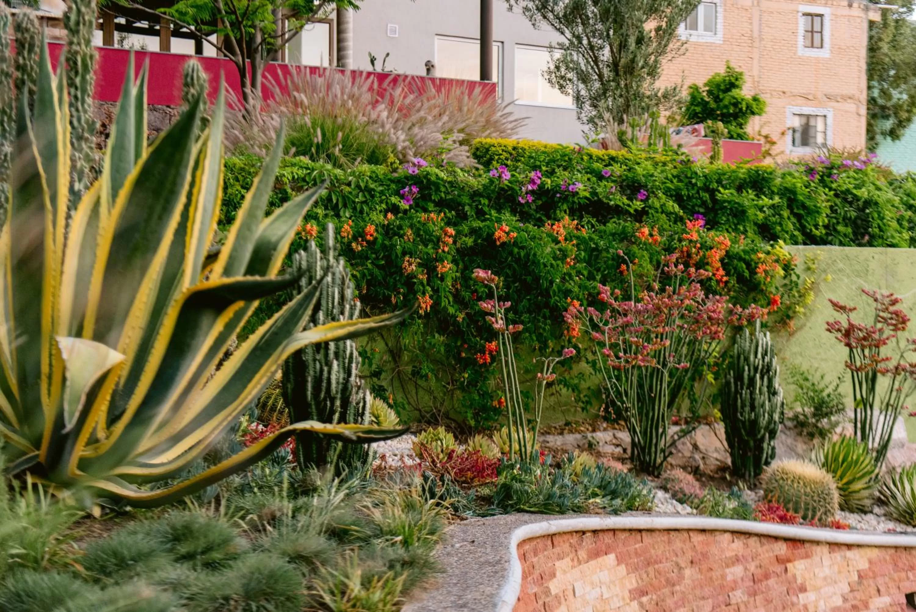 Garden in Terra Vista